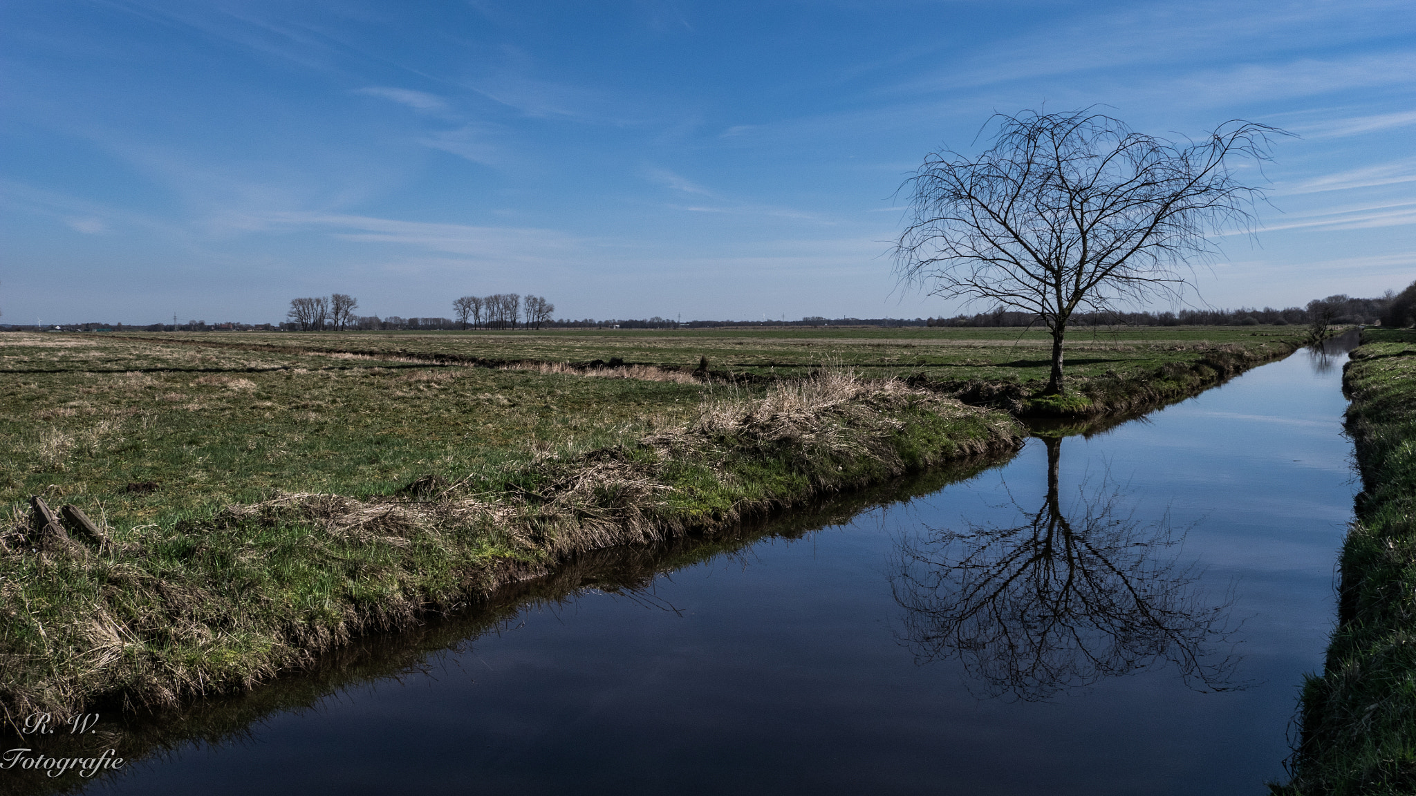 Panasonic Lumix G Vario 7-14mm F4 ASPH sample photo. Der baum photography