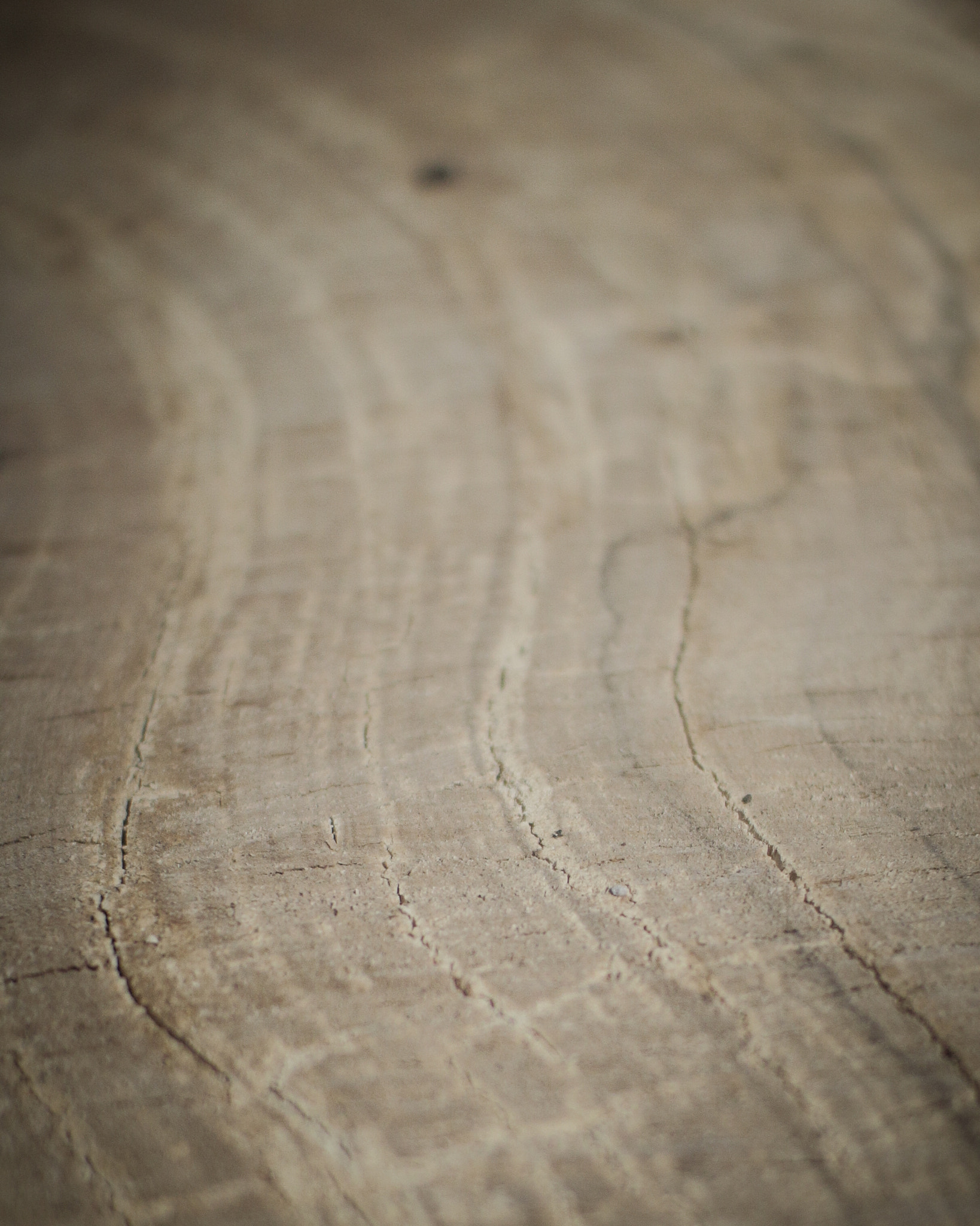 Sigma 30mm F1.4 EX DC HSM sample photo. Hard lines photography