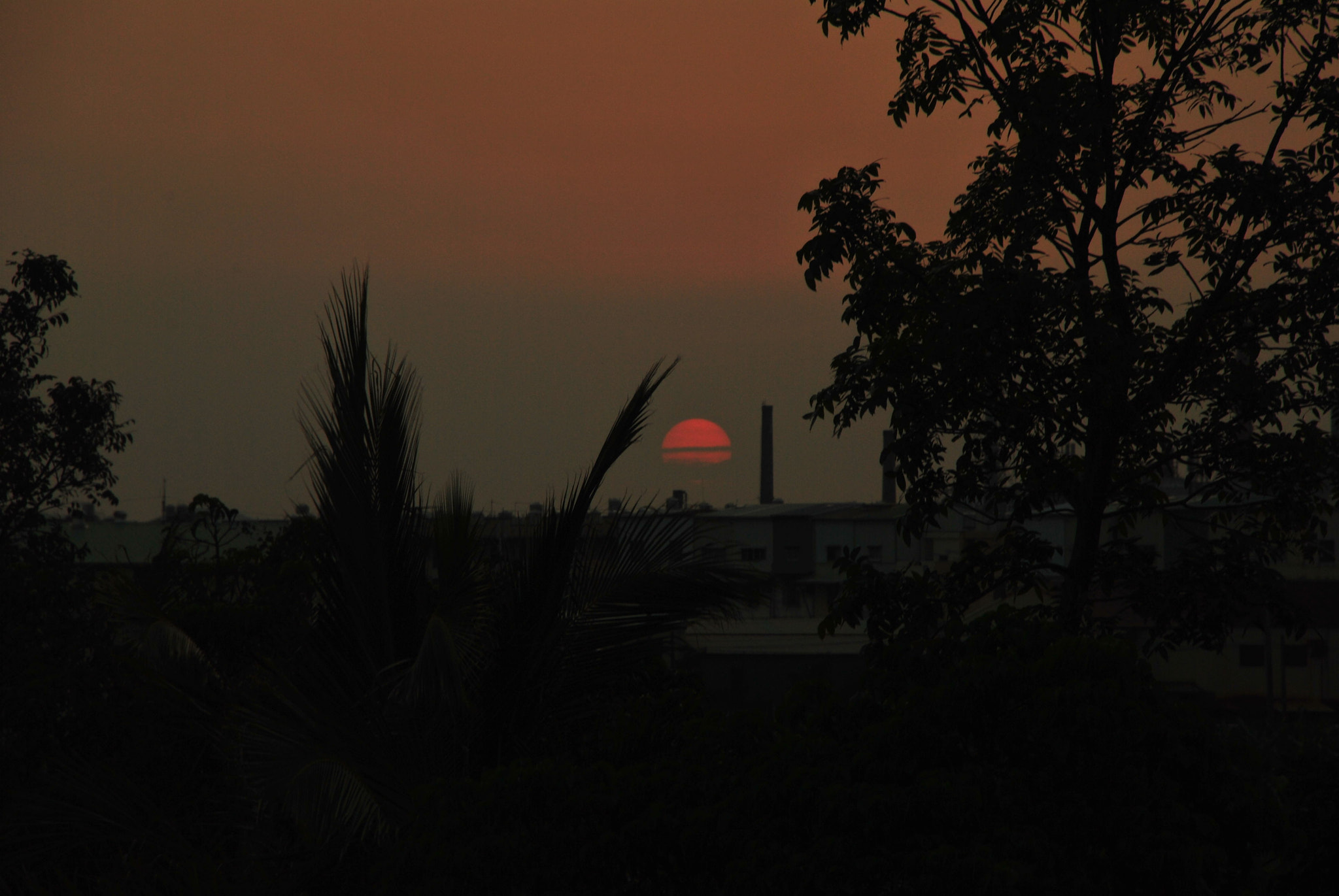 Nikon D3000 sample photo. Sunset photography