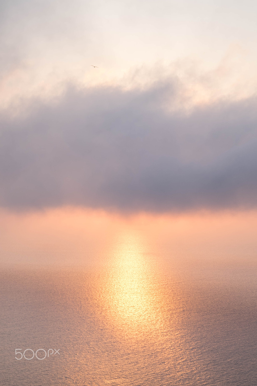 Fujifilm X-T1 + Fujifilm XF 56mm F1.2 R sample photo. Ses balandres 3 photography
