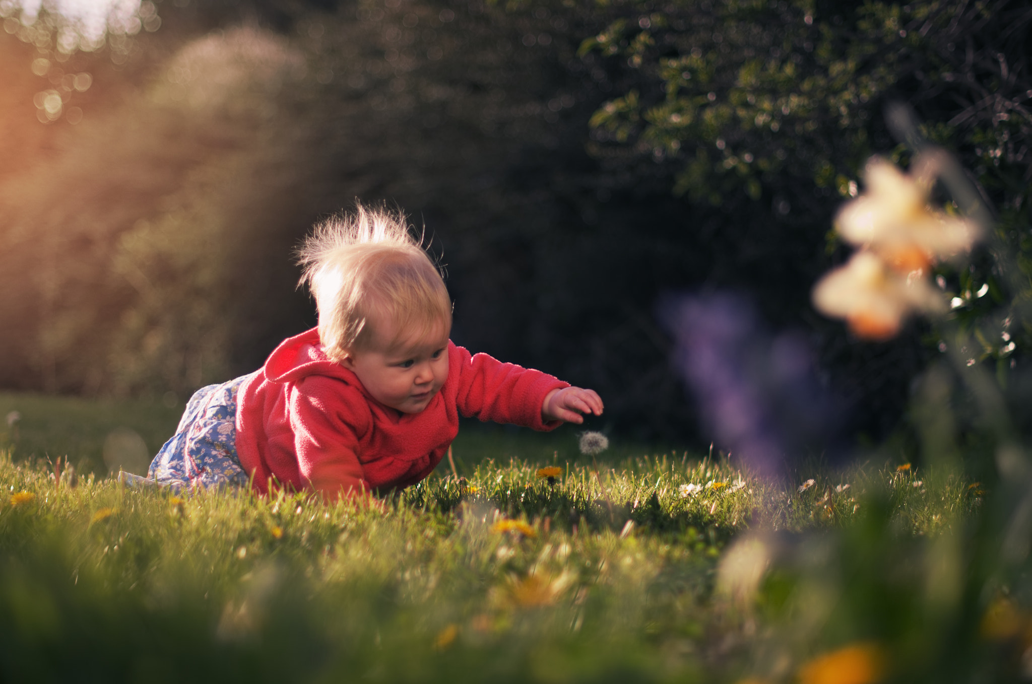 Nikon AF-S Nikkor 50mm F1.4G sample photo. Exploring spring photography