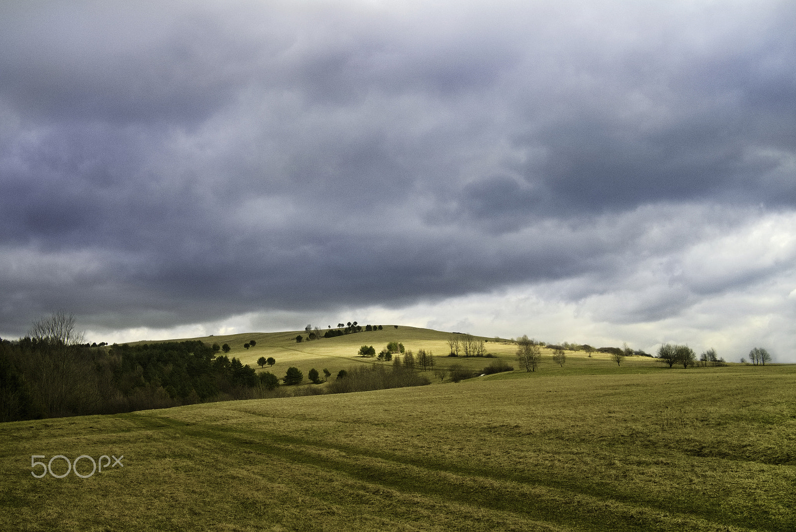 Panasonic Lumix DMC-GX1 sample photo. Walking to the sky photography