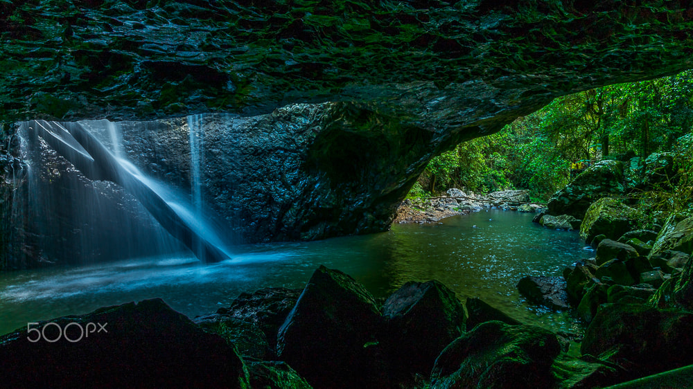 Nikon AF-S Nikkor 16-35mm F4G ED VR sample photo. Fallen tree nature bridge photography