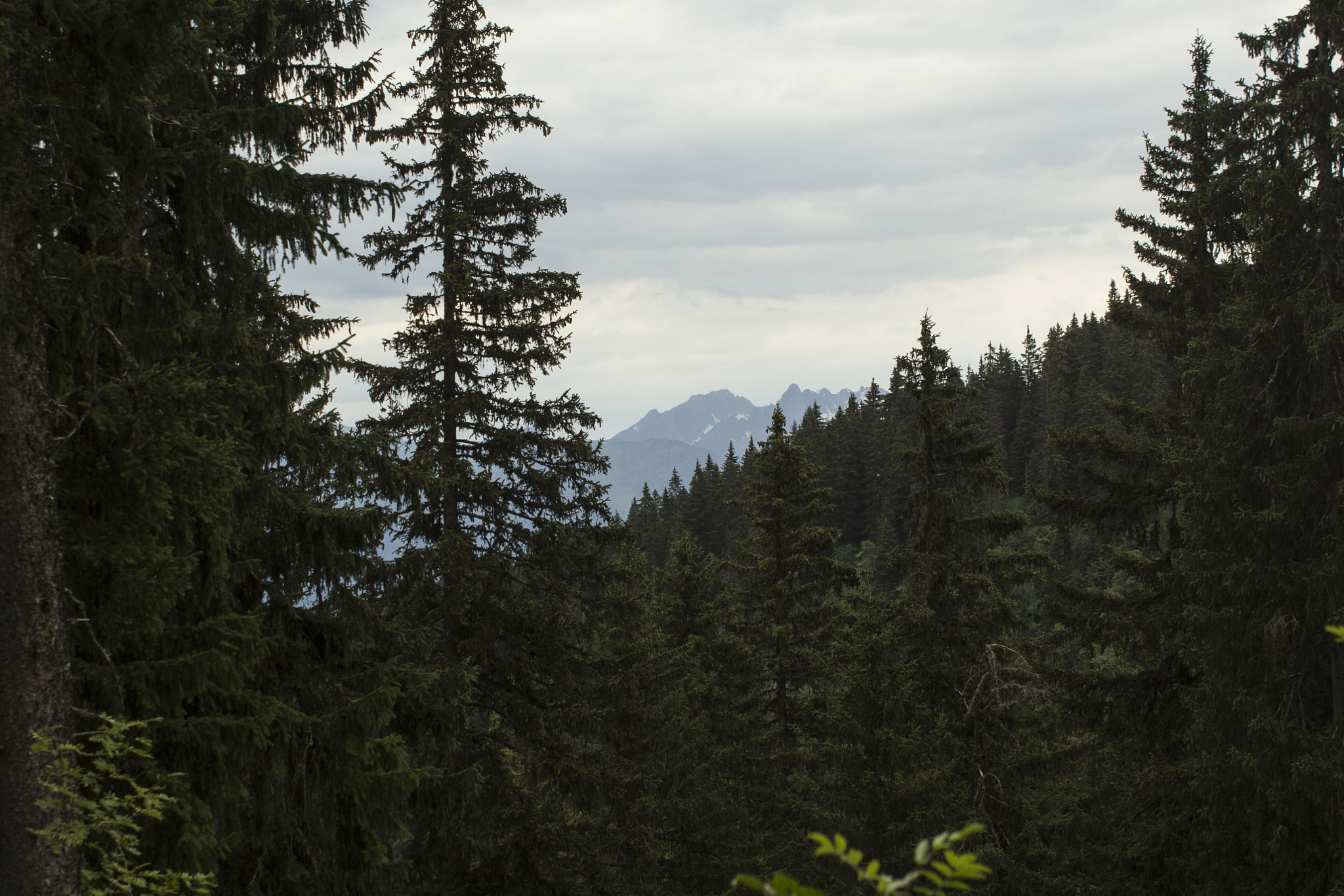 Canon EF-S 18-55mm F3.5-5.6 IS sample photo. Alps hills cut photography
