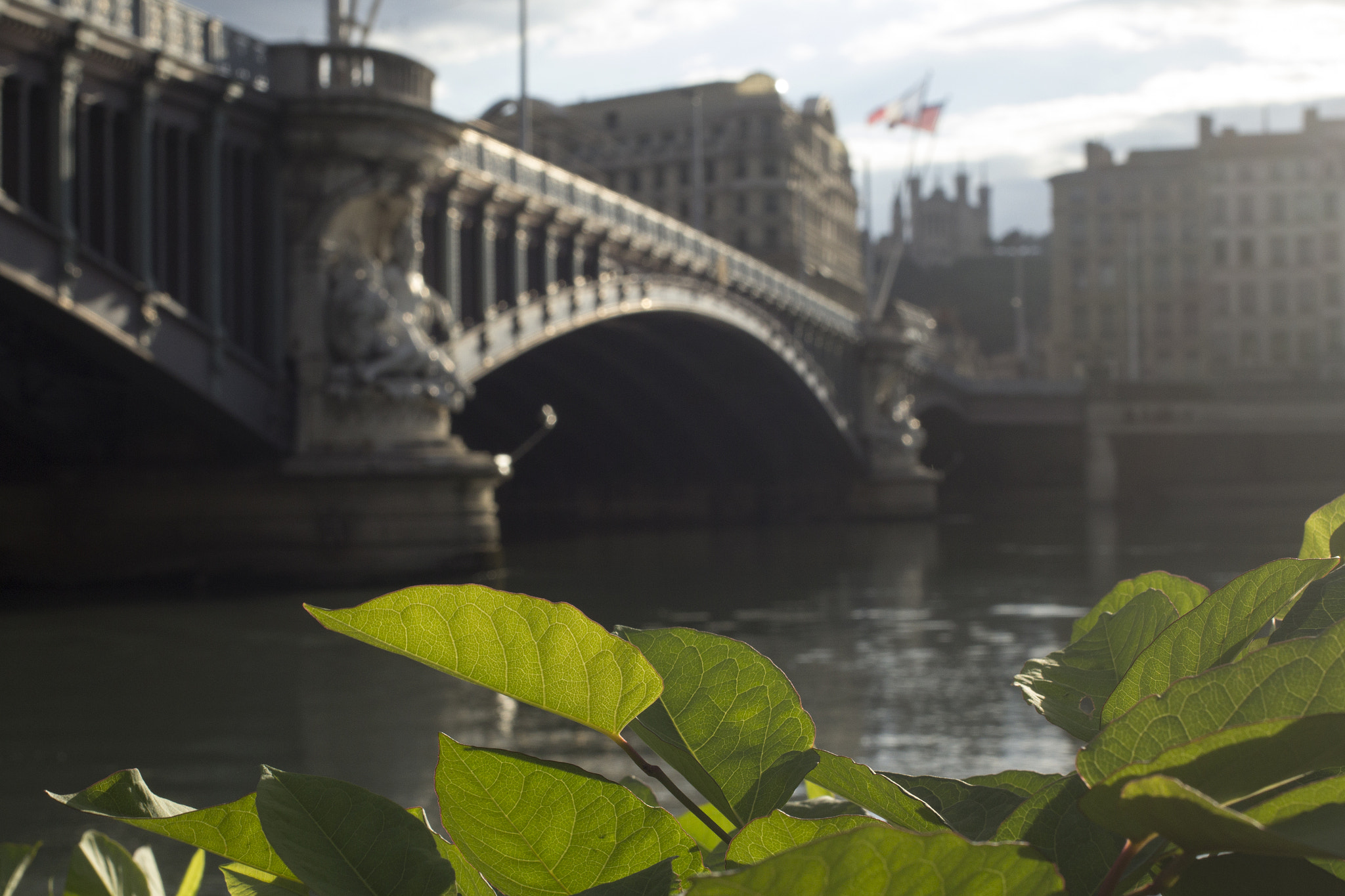 Canon EOS 60D + Canon EF 40mm F2.8 STM sample photo. Bridge photography