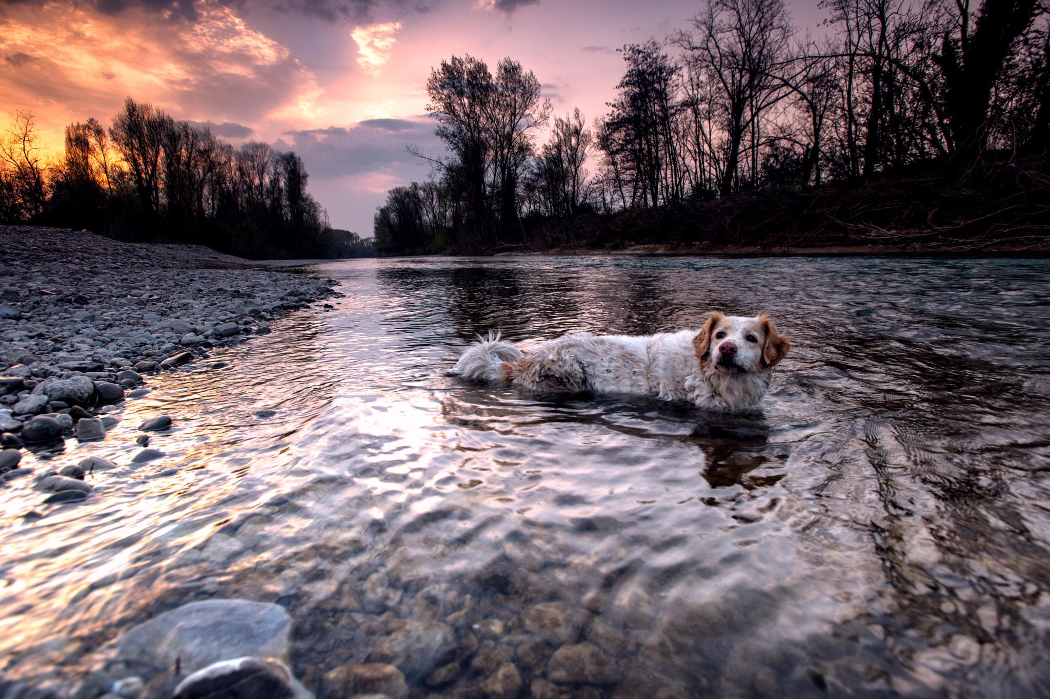 Nikon AF-S Nikkor 17-35mm F2.8D ED-IF sample photo. Time to have a bath photography