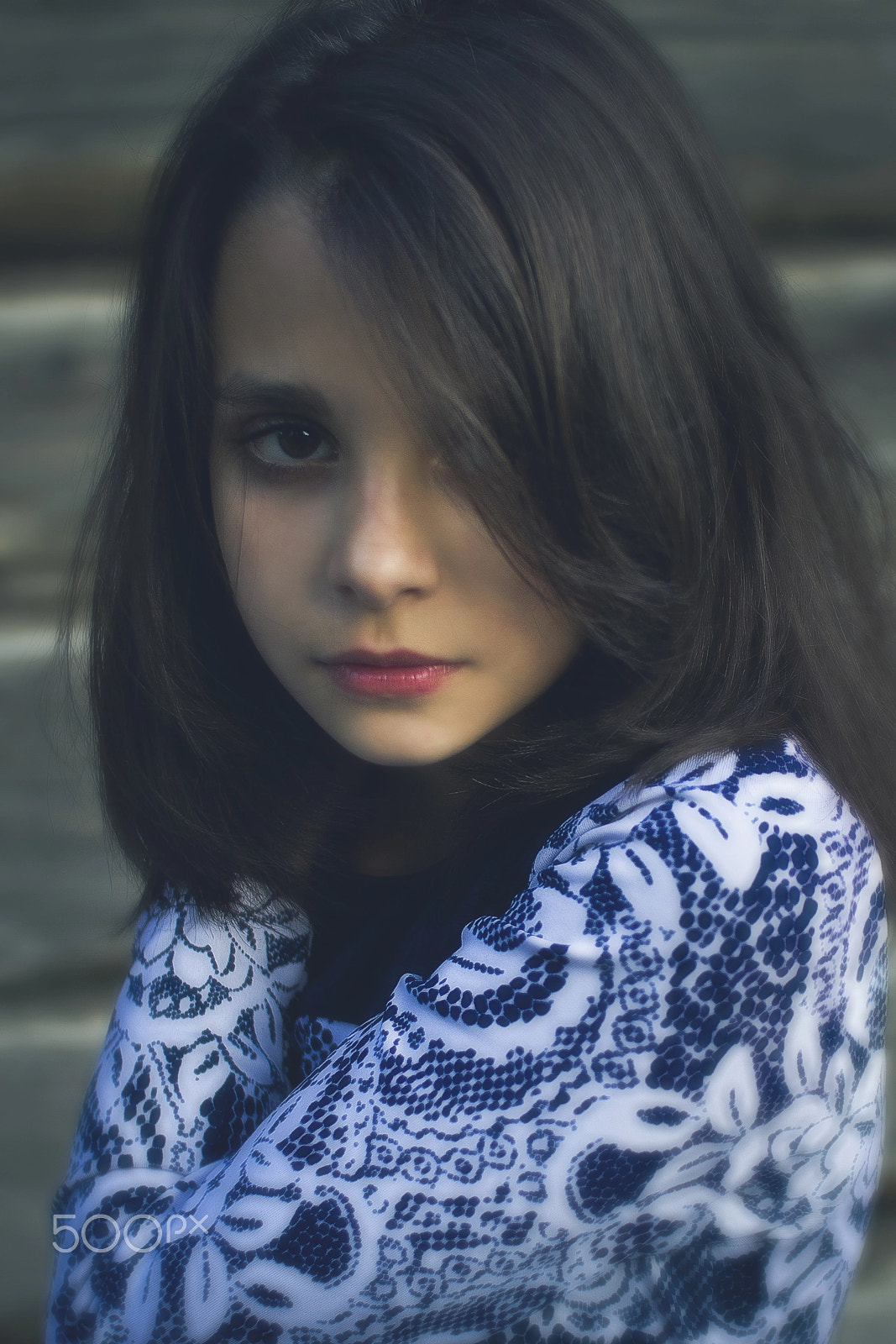 Sigma 30mm F1.4 EX DC HSM sample photo. Polinakeller photography