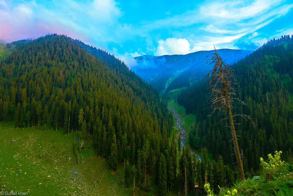 Nikon AF-S Nikkor 24-120mm F4G ED VR sample photo. Daksum kashmir india photography
