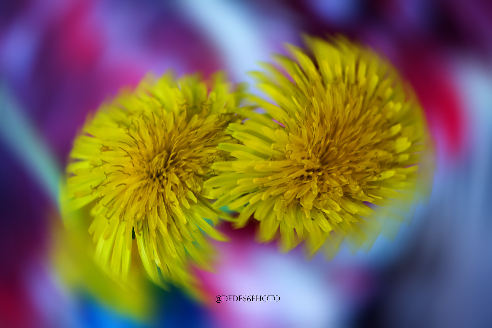Sigma 105mm F2.8 EX DG OS HSM sample photo. Untitled photography
