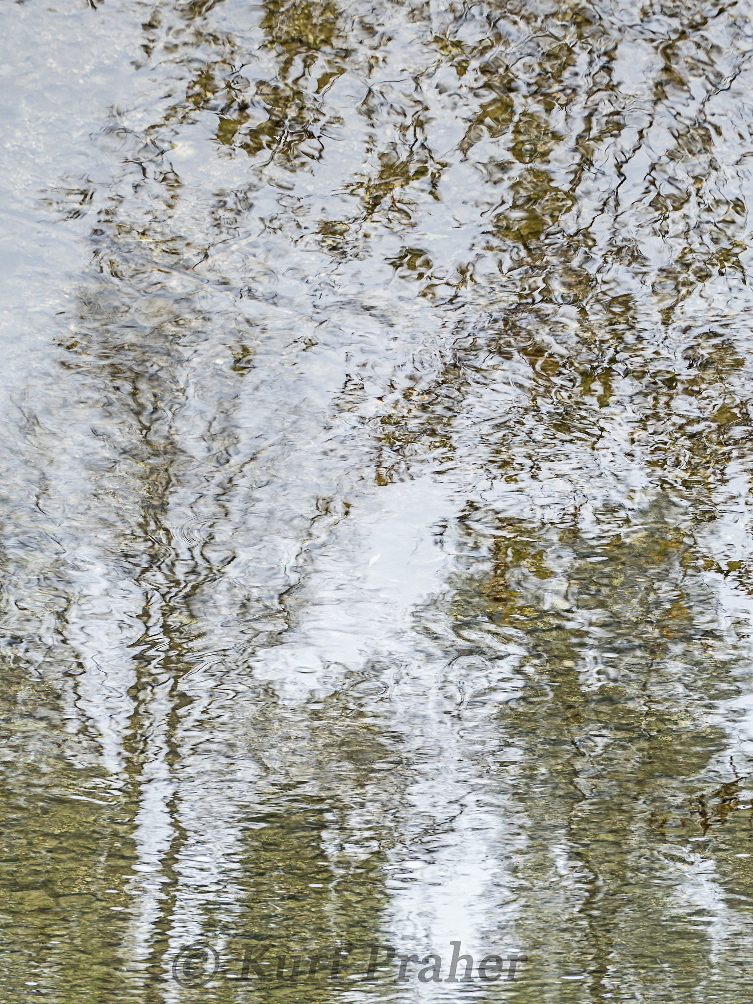 Olympus M.Zuiko Digital ED 40-150mm F2.8 Pro sample photo. Herbstmeditation photography