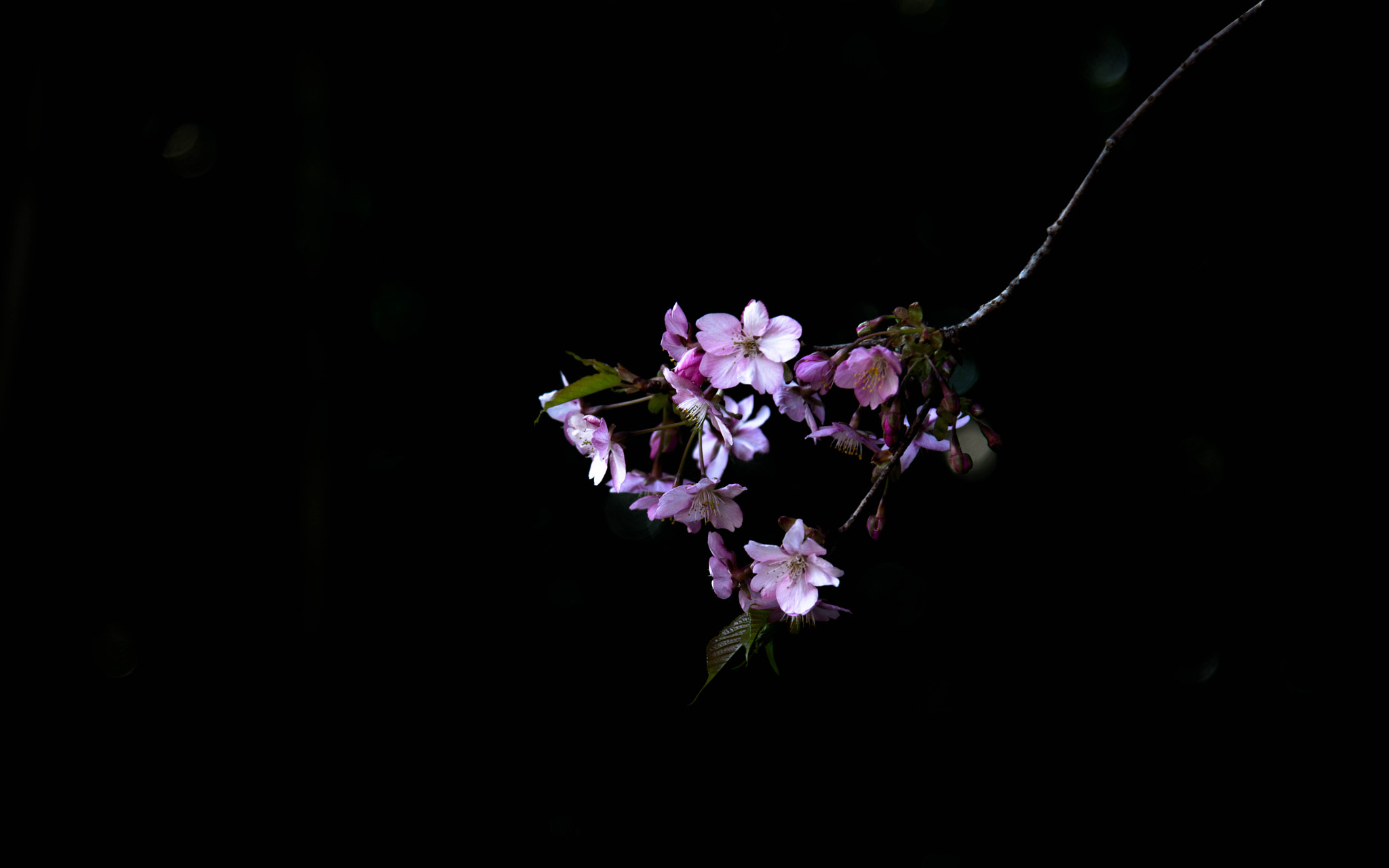 Nikon AF-S Nikkor 24-120mm F4G ED VR sample photo