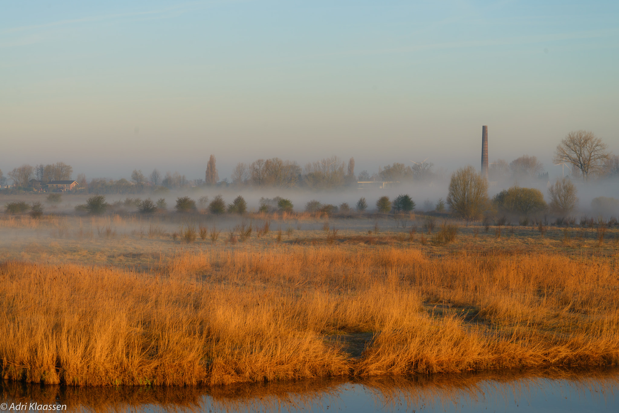 Nikon D800 sample photo. Foggy morning photography