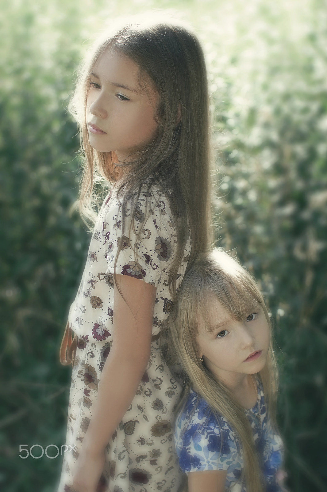Sigma 30mm F1.4 EX DC HSM sample photo. Polinakeller photography