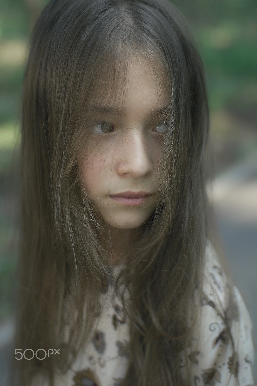 Sigma 30mm F1.4 EX DC HSM sample photo. Polinakeller photography