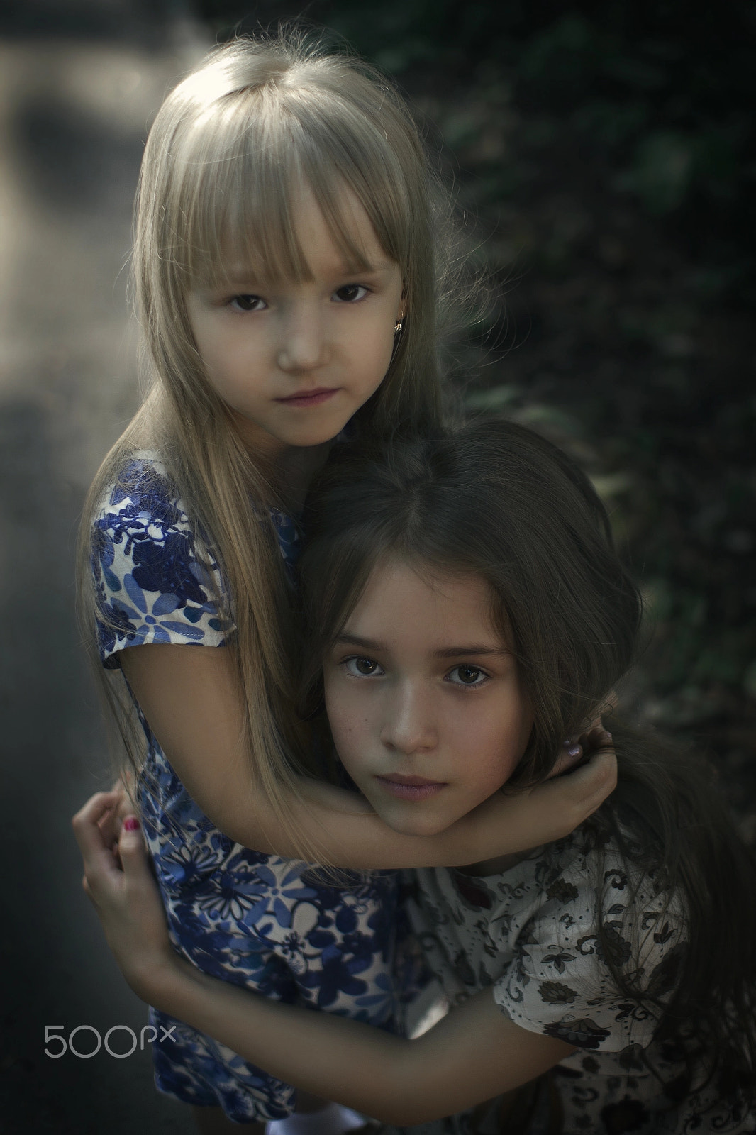 Sigma 30mm F1.4 EX DC HSM sample photo. Polinakeller photography