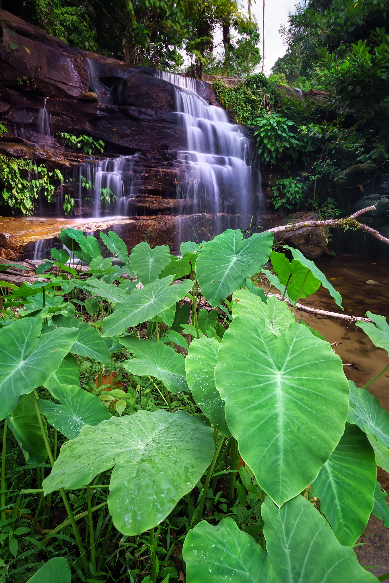 Sony a6000 + Sony DT 50mm F1.8 SAM sample photo. Merbok waterfall photography