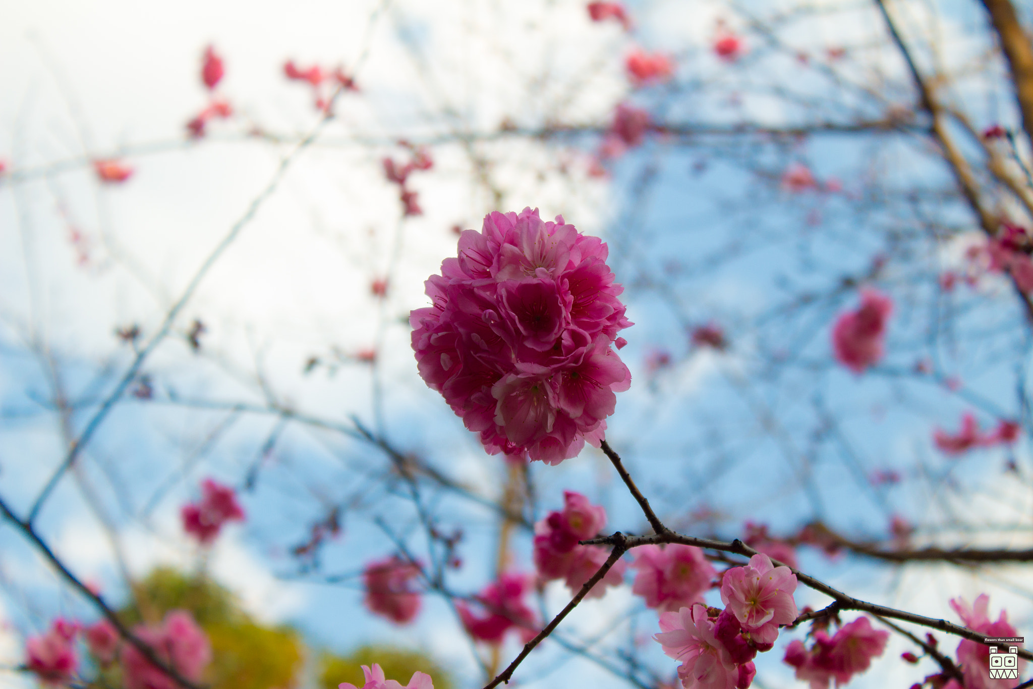 Canon EF-S 18-55mm F3.5-5.6 IS sample photo