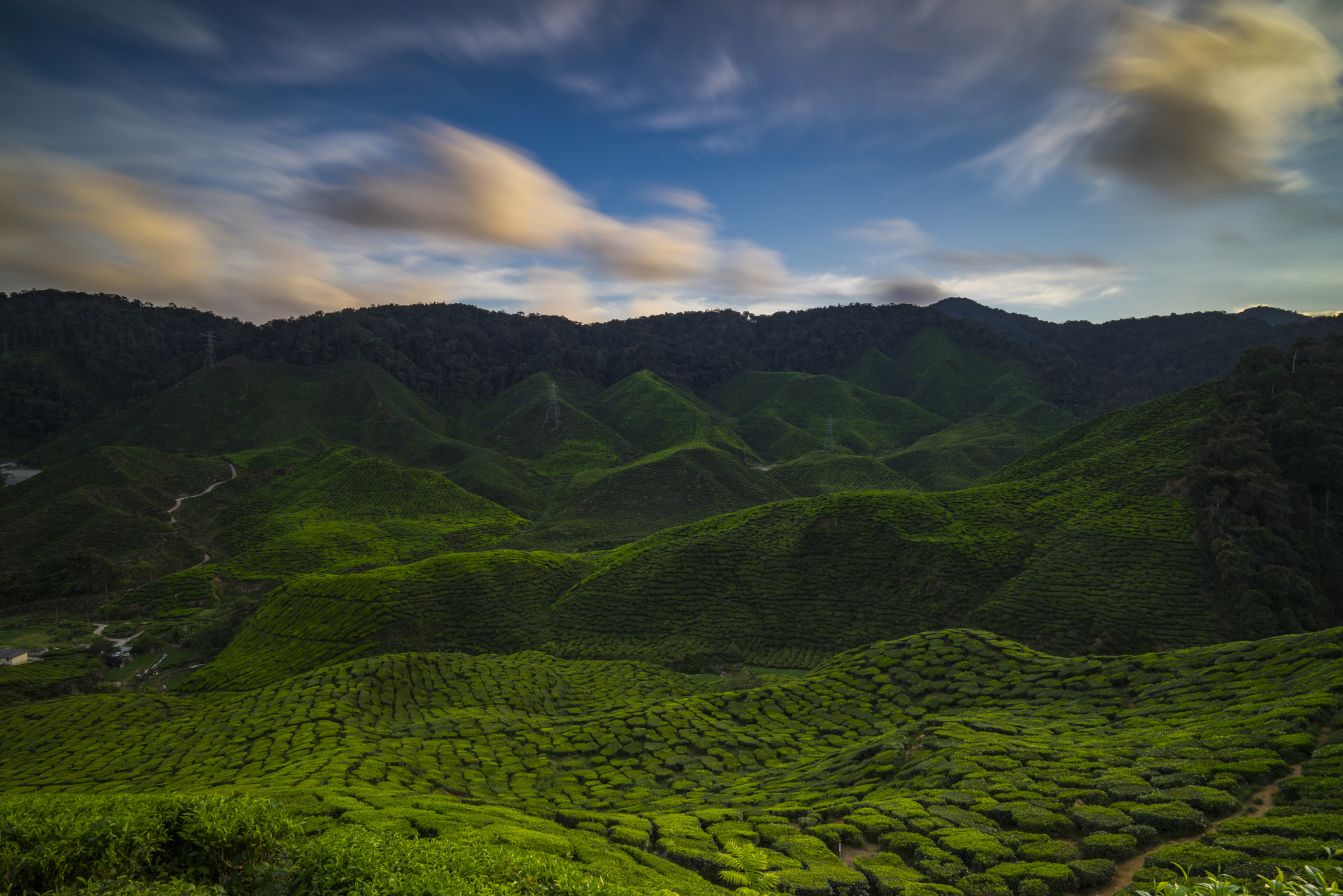Sony a7R sample photo. A beautiful panaroma view of cameron highlands photography