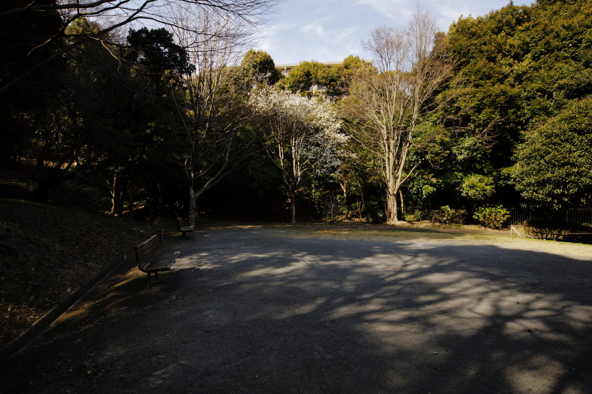 Canon EF 17-40mm F4L USM sample photo. Pa photography