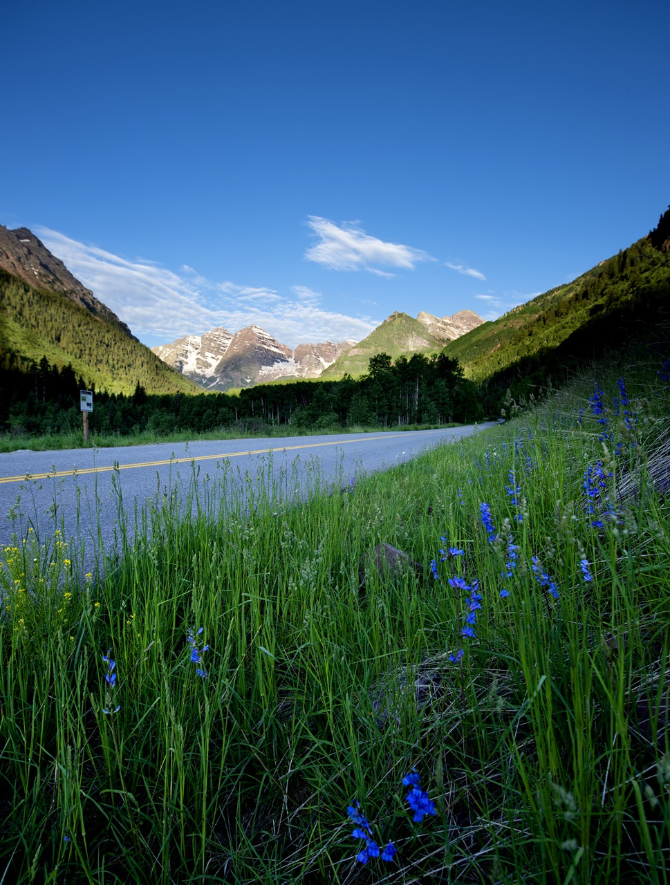 AF Micro-Nikkor 105mm f/2.8 sample photo. Roadside photography