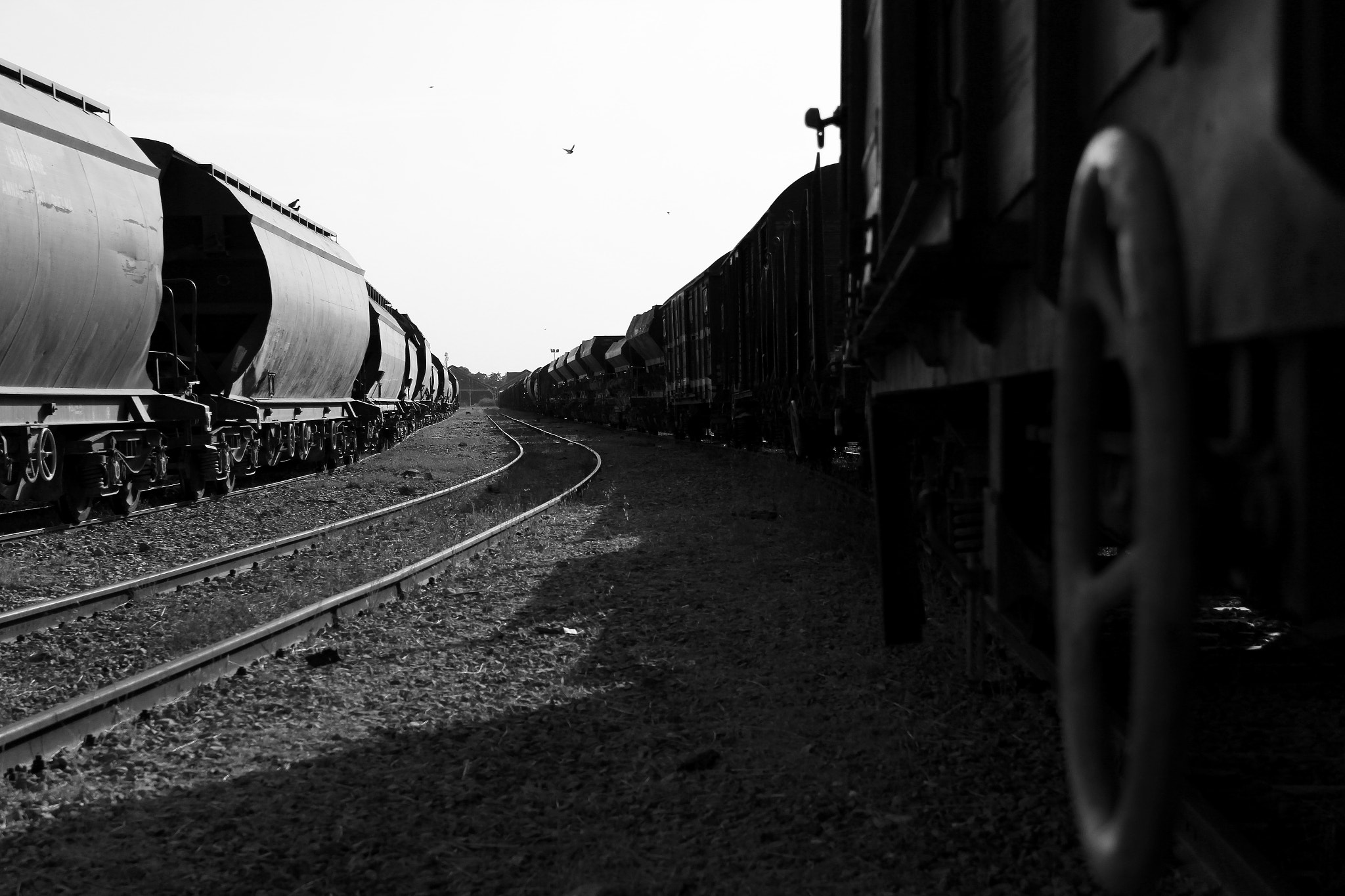 Canon EOS 60D + Canon EF-S 17-85mm F4-5.6 IS USM sample photo. Train station photography