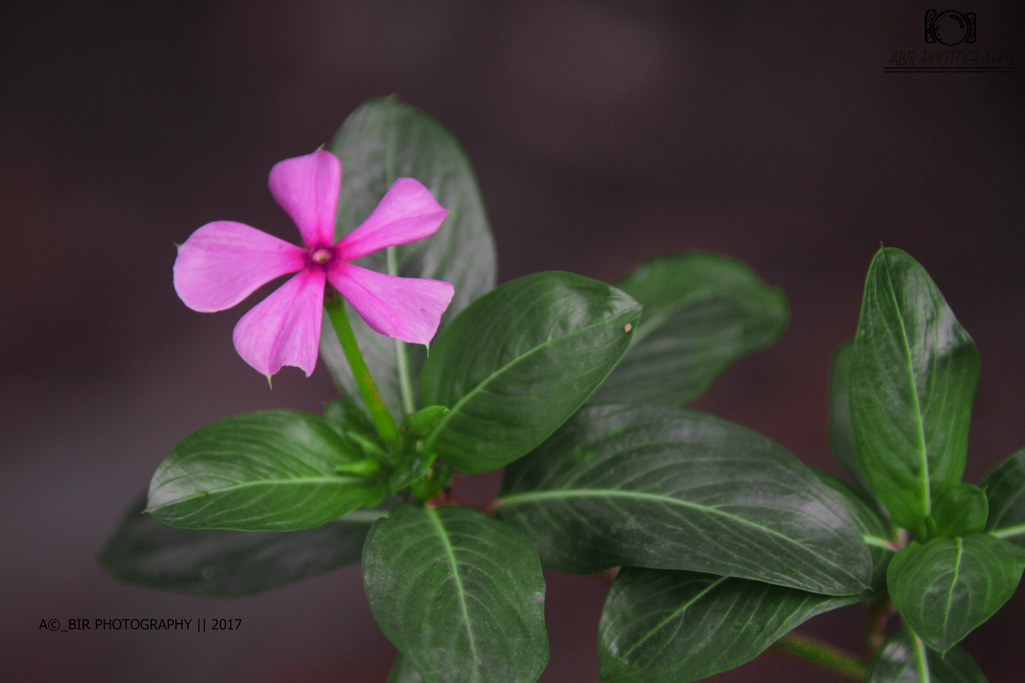 Sigma 18-200mm f/3.5-6.3 DC OS sample photo