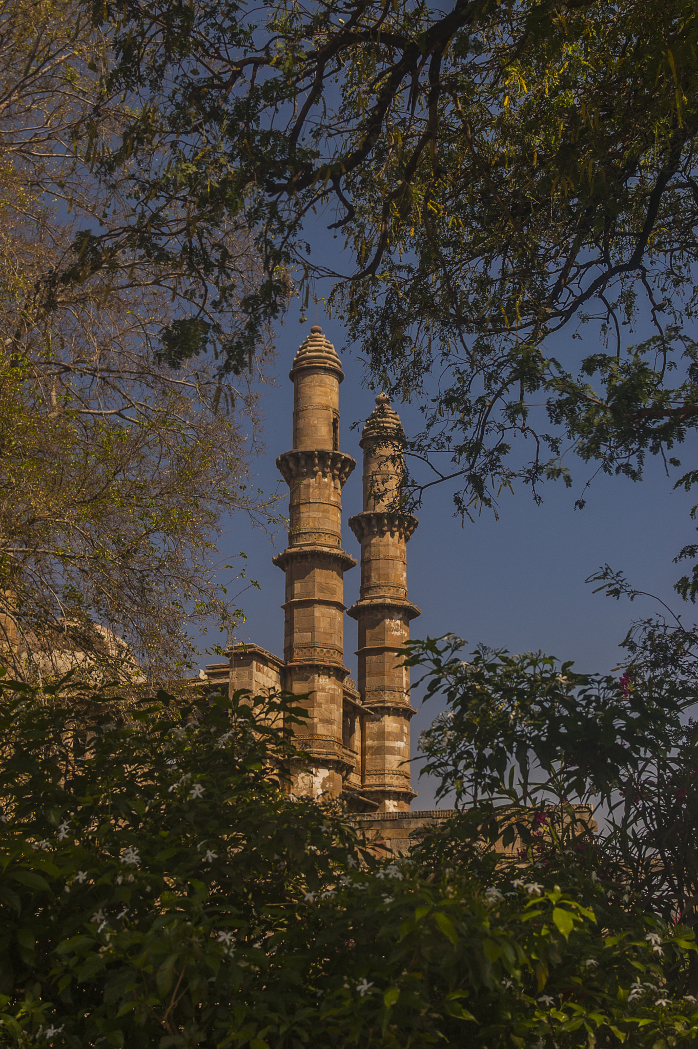 Nikon D40 sample photo. Jammi masjid, champaner photography