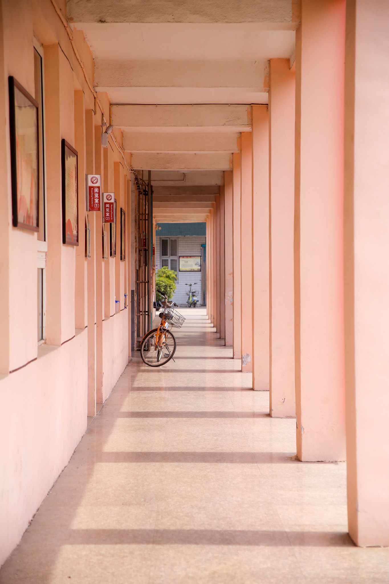 Canon EF 28-105mm f/3.5-4.5 USM sample photo. Youth photography