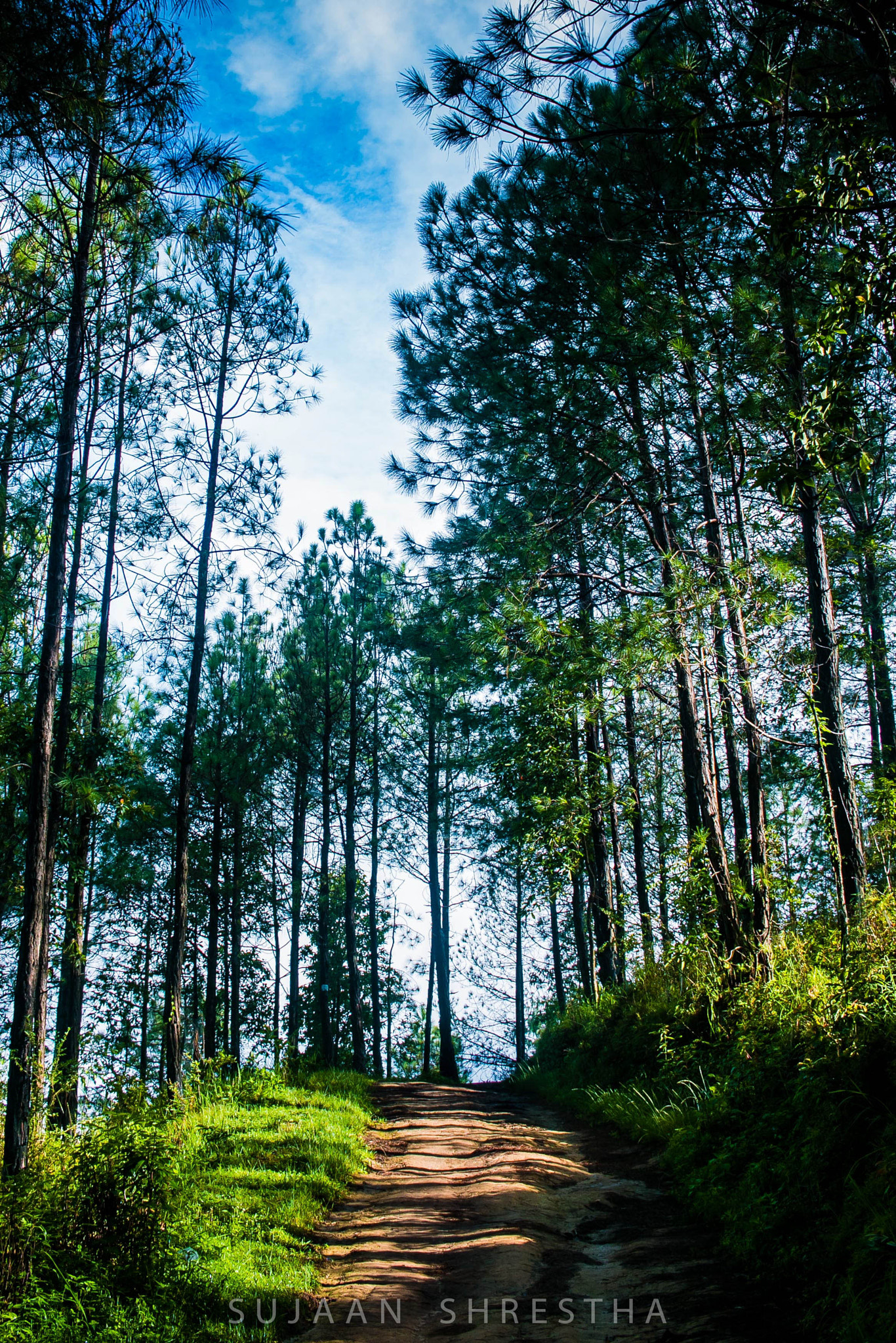 Canon EF-S 24mm F2.8 STM sample photo. Namo buddha photography