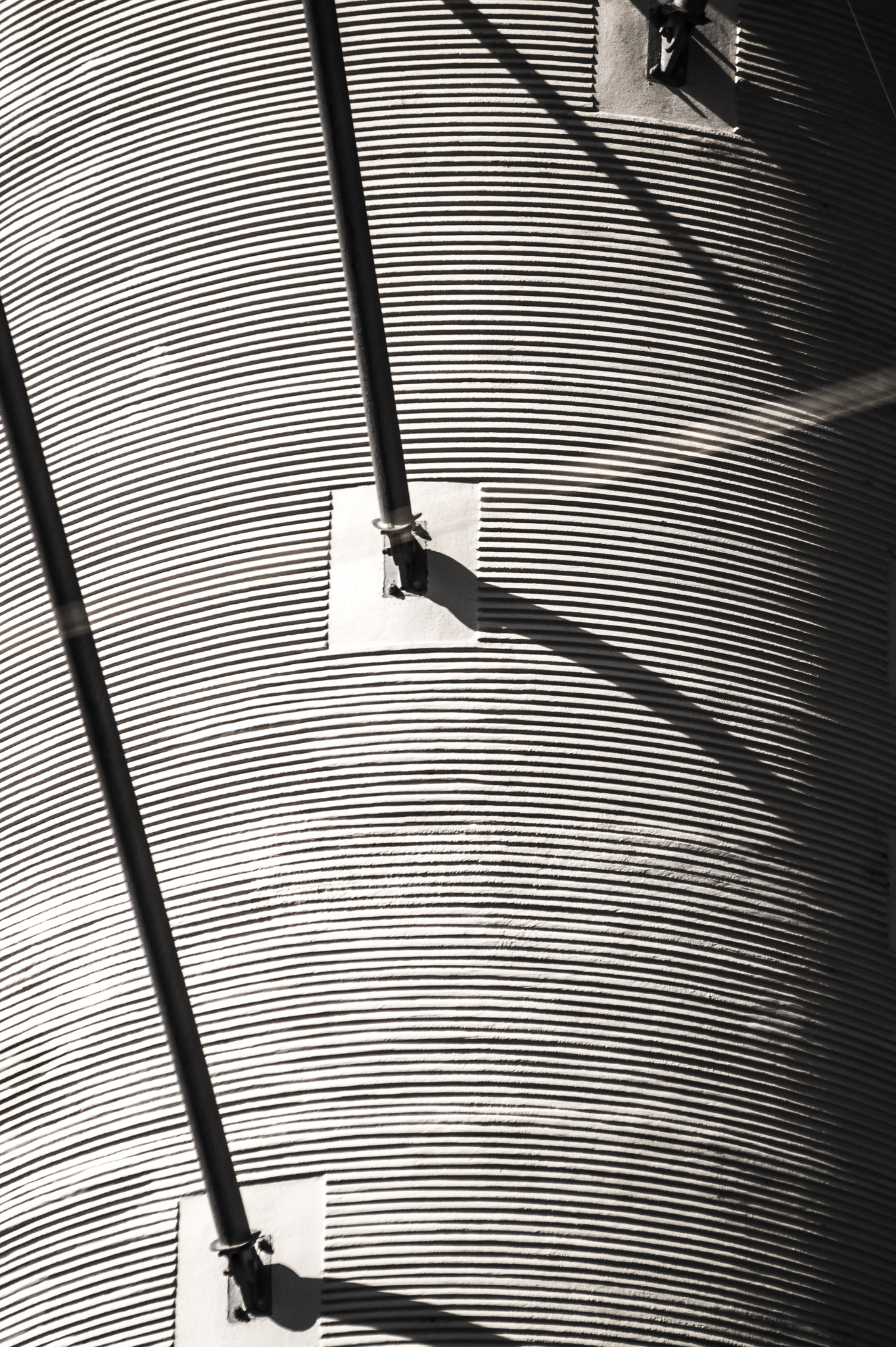 Sony 75-300mm F4.5-5.6 sample photo