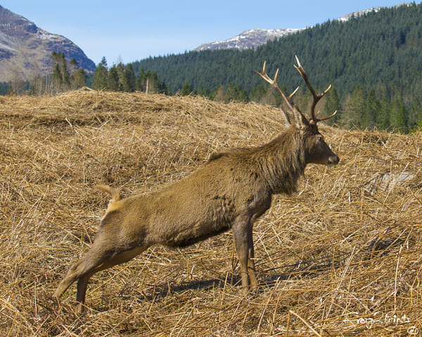 Olympus Zuiko Digital ED 35-100mm F2.0 sample photos - ExploreCams