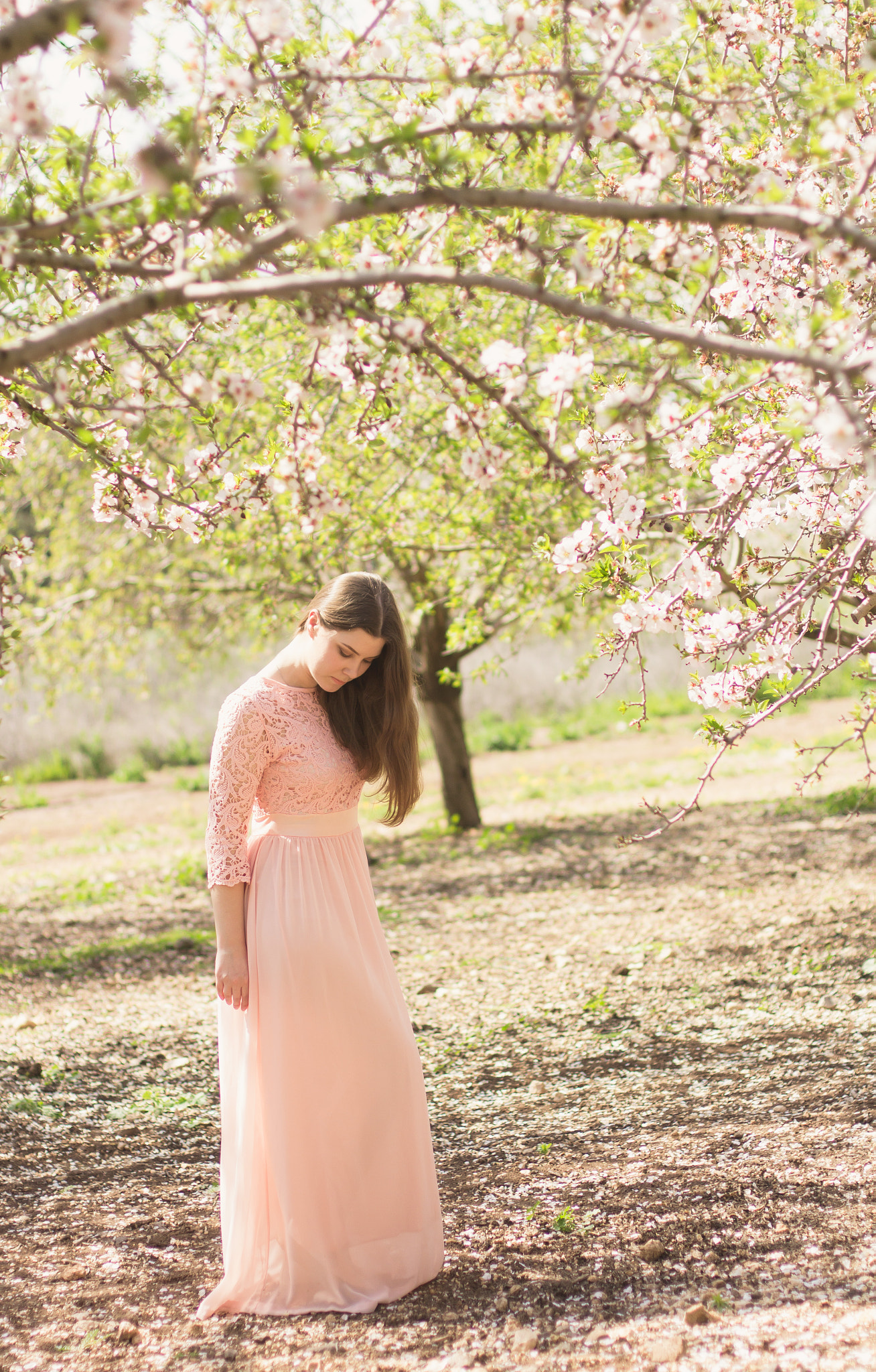 Canon EOS 60D + Canon EF 50mm F1.4 USM sample photo. Blossom time photography
