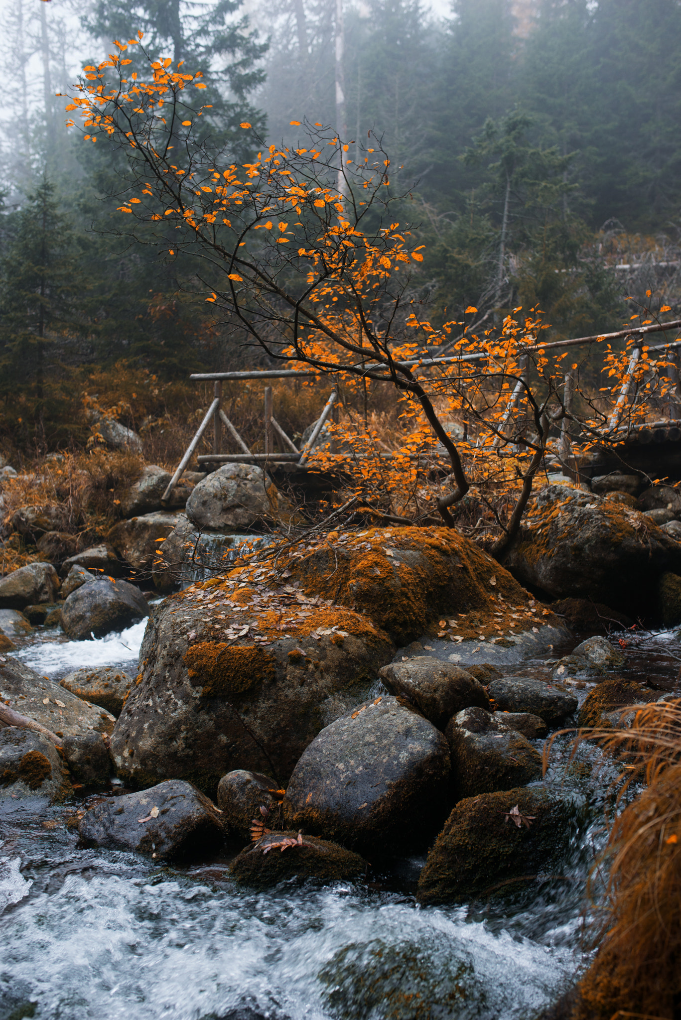 Nikon D800 + Sigma 35mm F1.4 DG HSM Art sample photo. *** photography