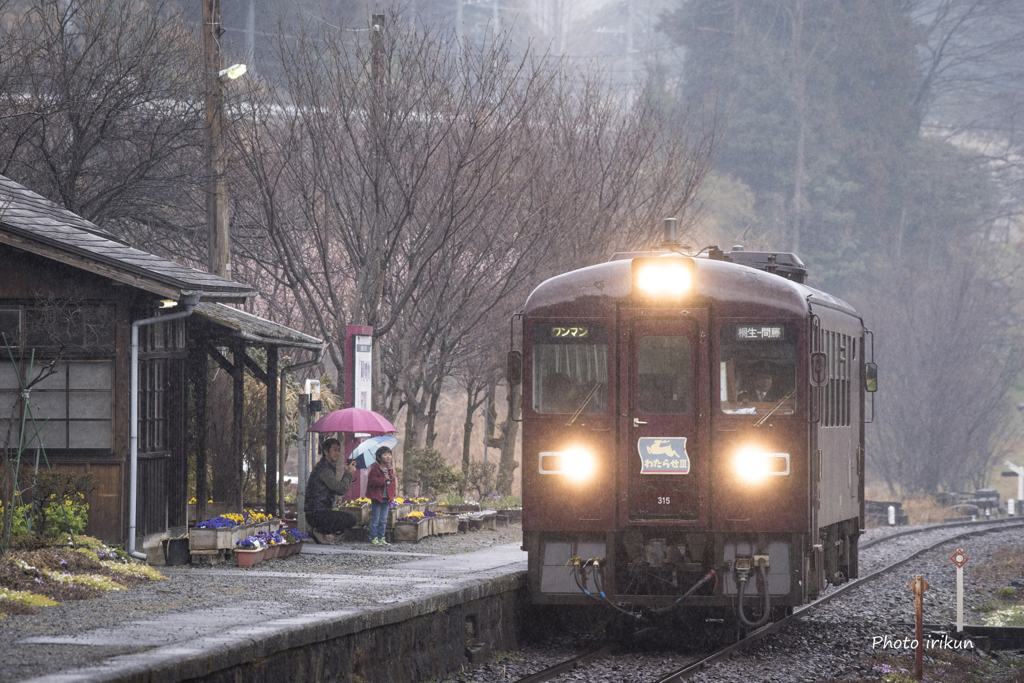 Nikon AF-S Nikkor 200-500mm F5.6E ED VR sample photo. Rainy customer photography