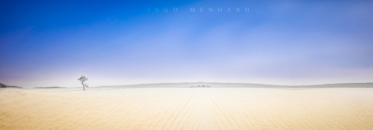 Sony a7 + Sony FE 28mm F2 sample photo. Lonely in wideness photography