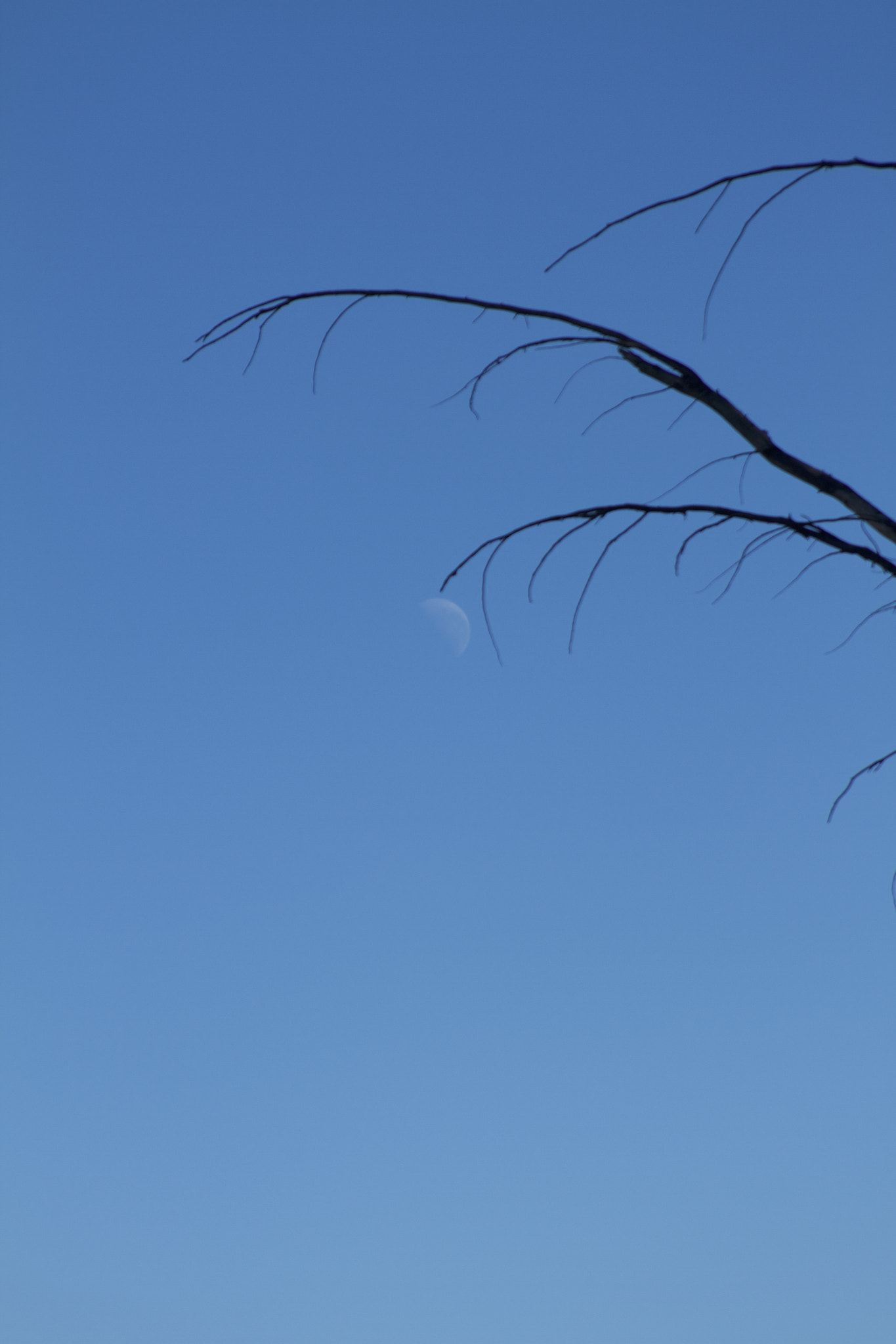 Canon EF 28-135mm F3.5-5.6 IS USM sample photo. Touching photography