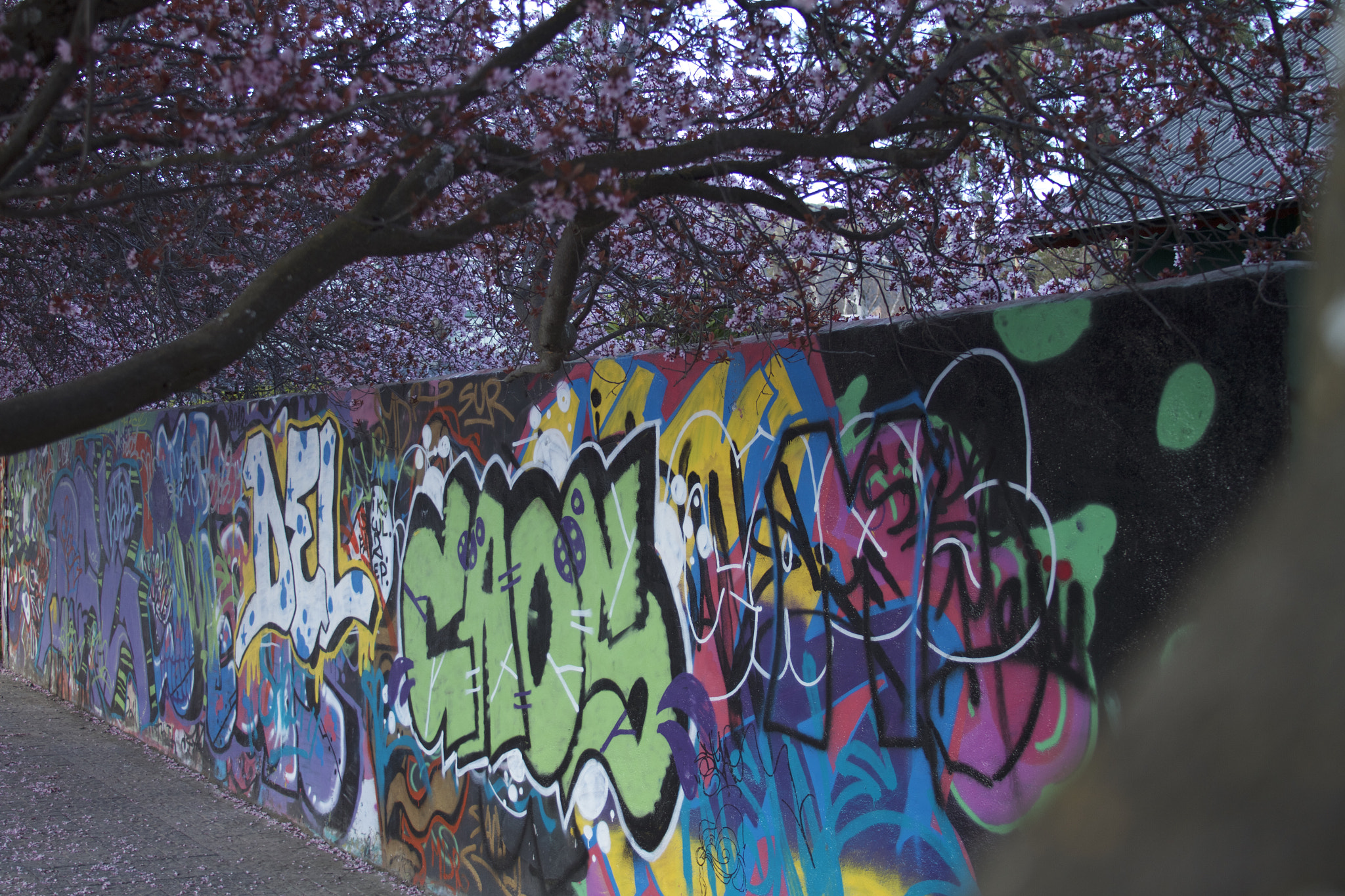 Canon EOS 7D sample photo. Grafitte photography