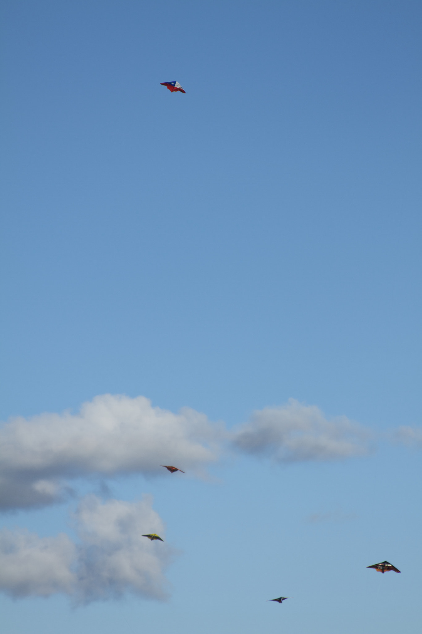 Canon EF 28-135mm F3.5-5.6 IS USM sample photo. Volantines photography