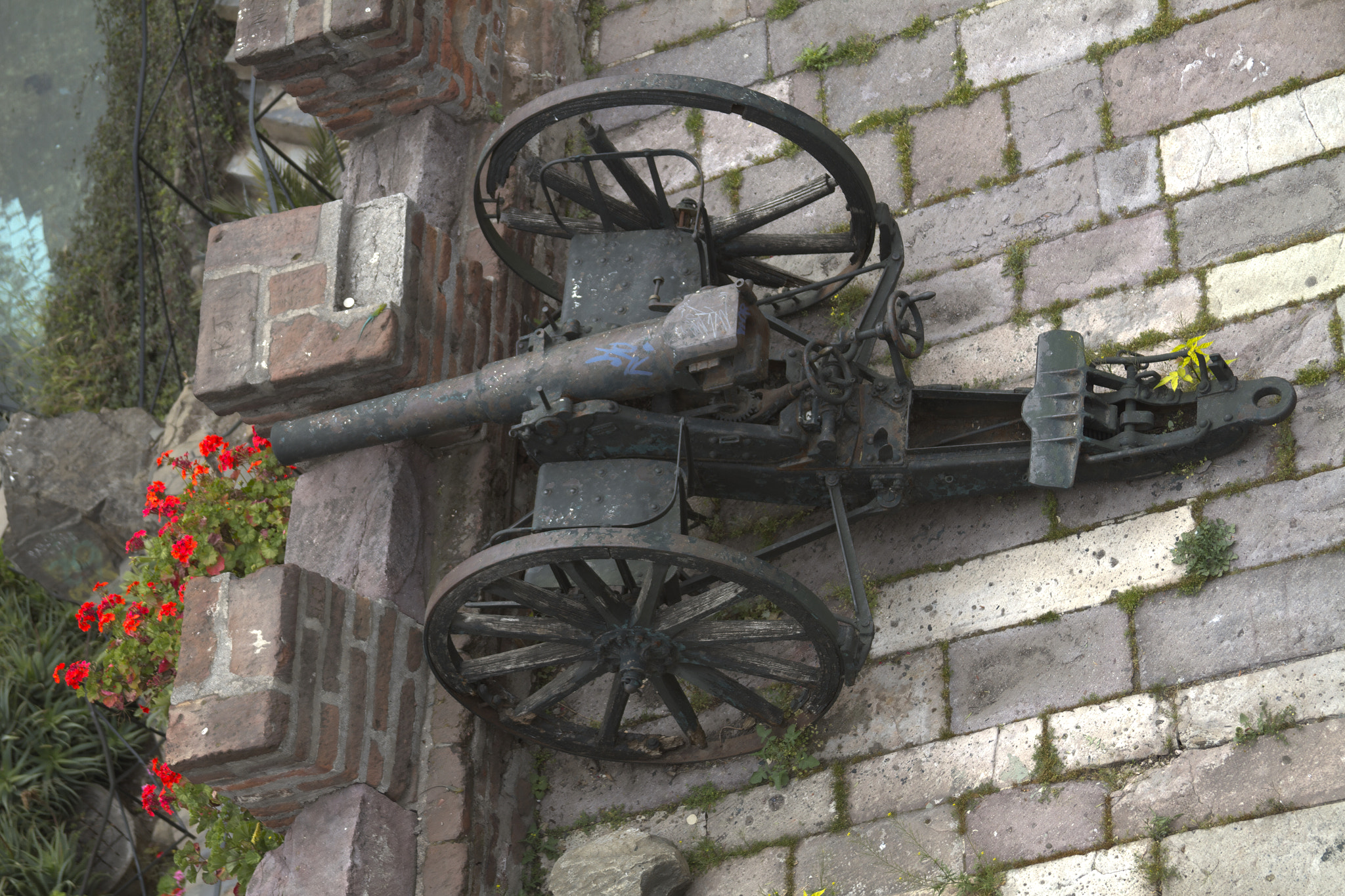 Canon EF 28-135mm F3.5-5.6 IS USM sample photo. Loveshot photography
