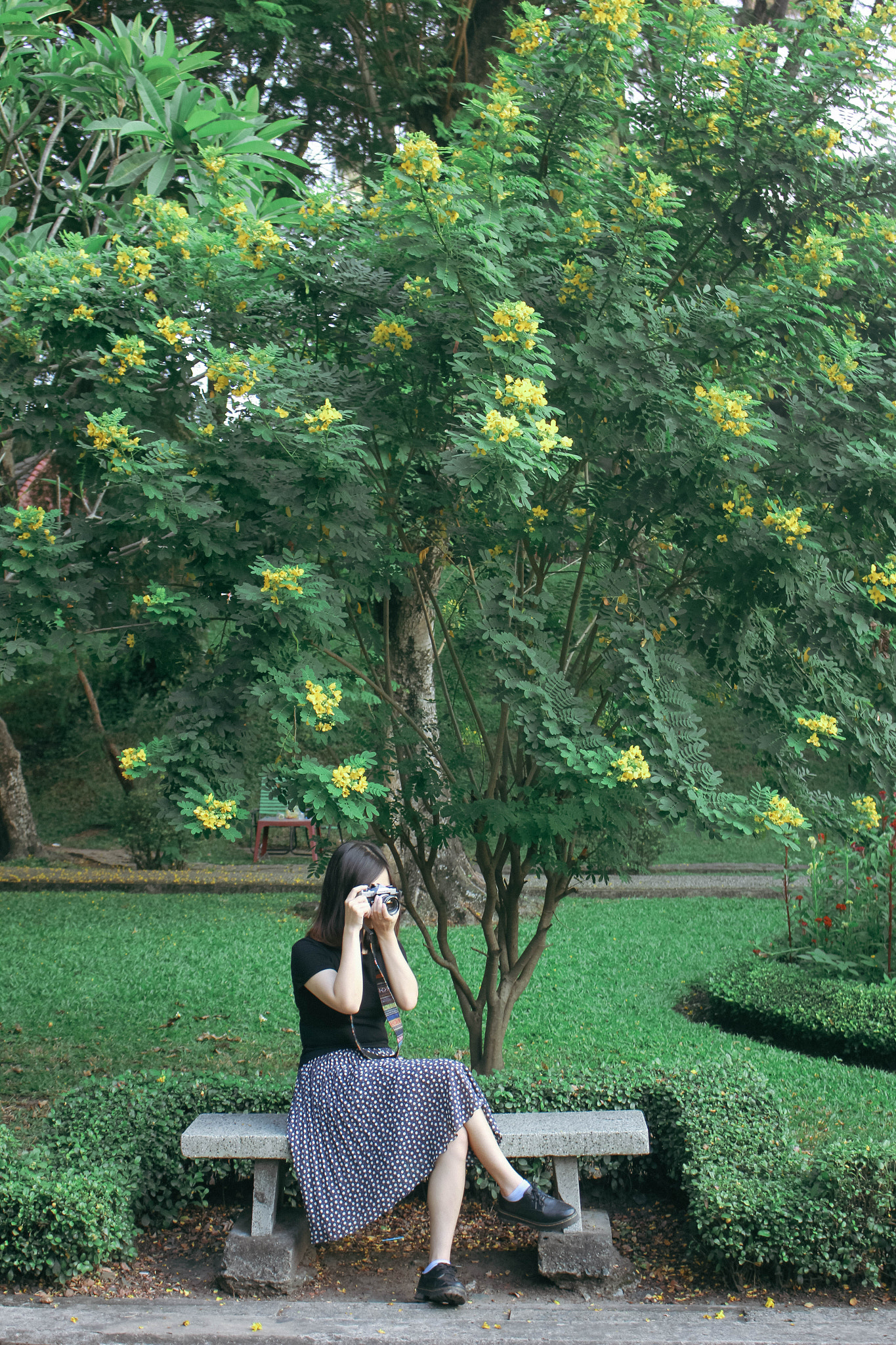 Canon EOS 60D sample photo