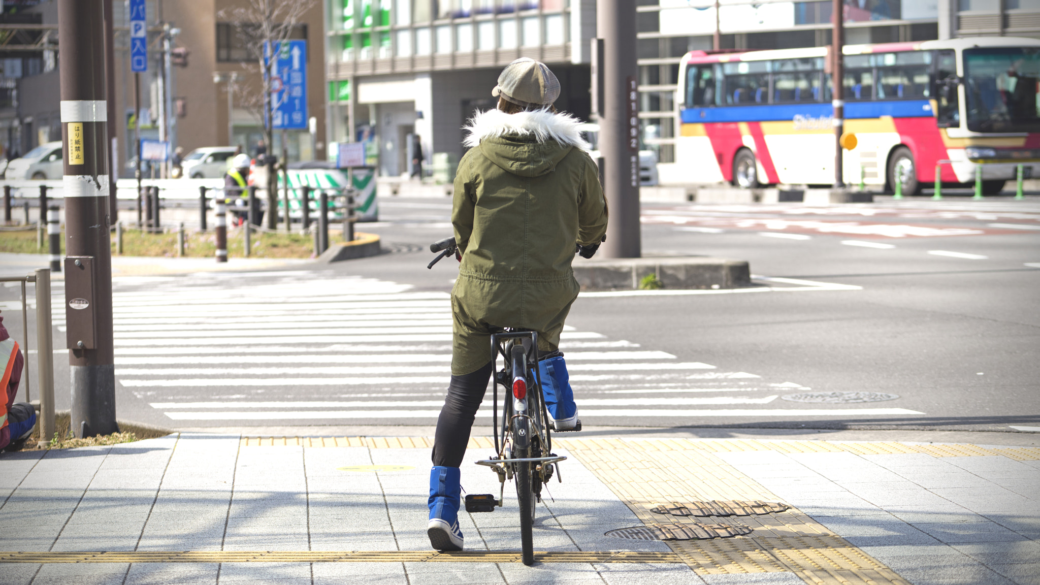 Sony a7R + Sony FE 70-200mm F4 G OSS sample photo. A sunny days at winter photography