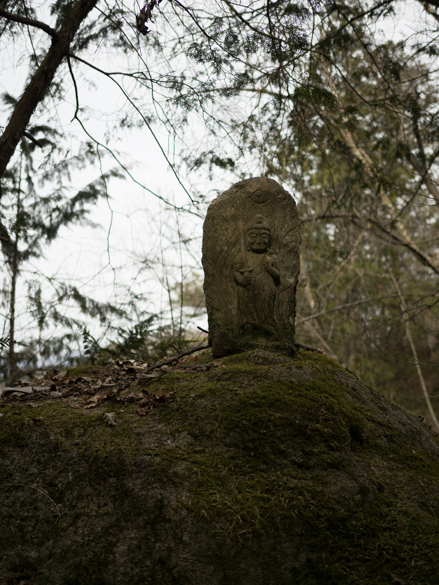 Olympus OM-D E-M10 II + Olympus M.Zuiko Digital 25mm F1.8 sample photo. 見張り | watch photography