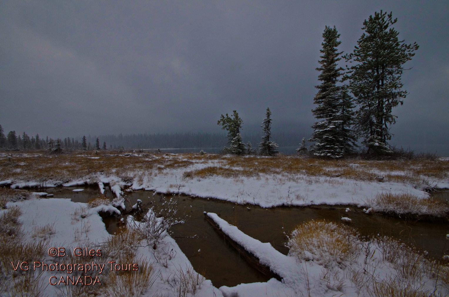 Pentax K-5 IIs sample photo. Winter settles in photography