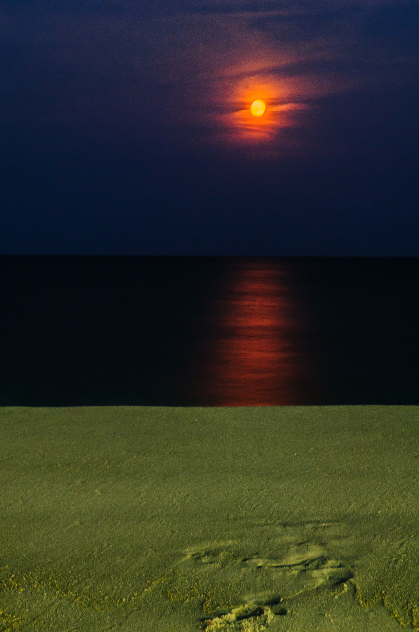 AF Zoom-Nikkor 24-120mm f/3.5-5.6D IF sample photo. Pondering life at the shore photography