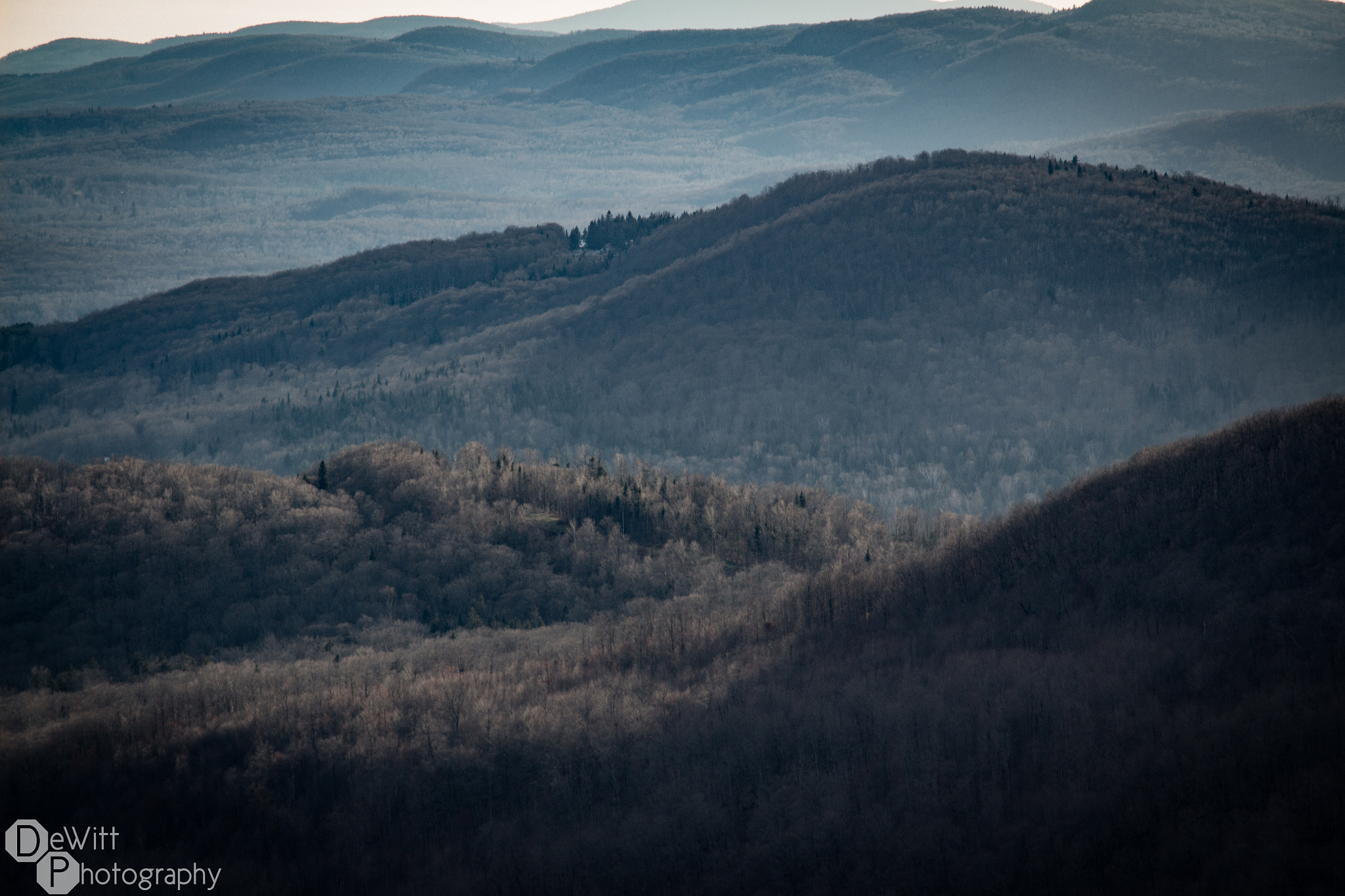 Canon EF-S 55-250mm F4-5.6 IS STM sample photo. Catchingup photography