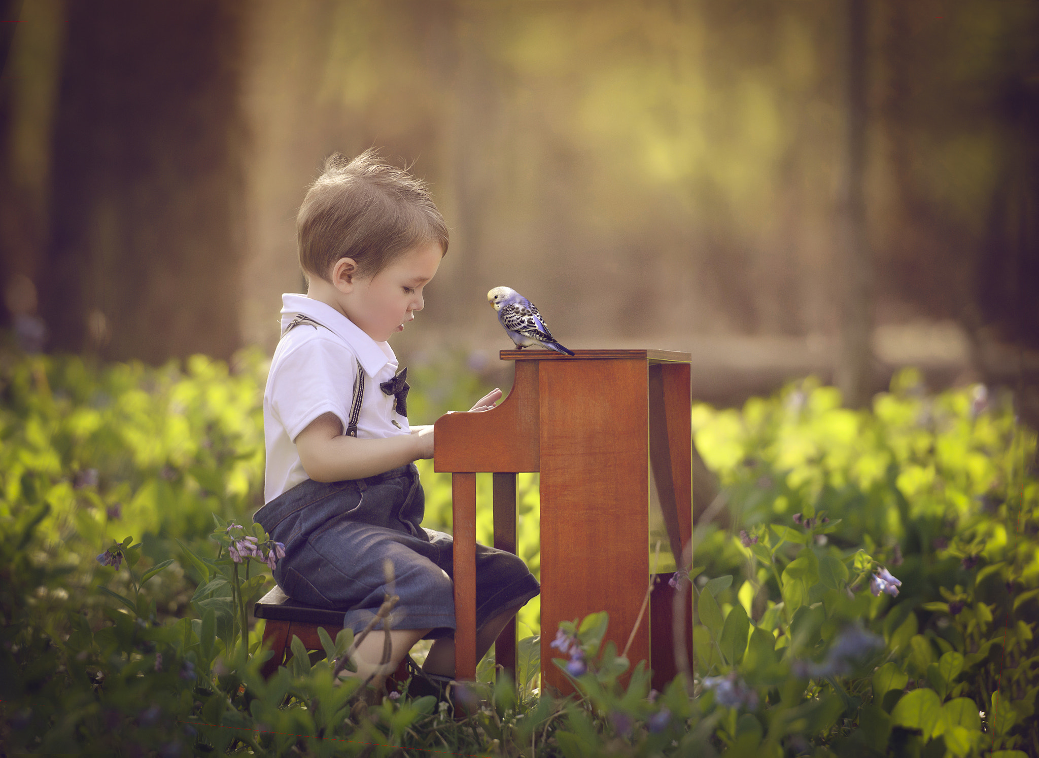 Nikon AF-S Nikkor 70-200mm F2.8G ED VR II sample photo. When words fade, music speaks photography