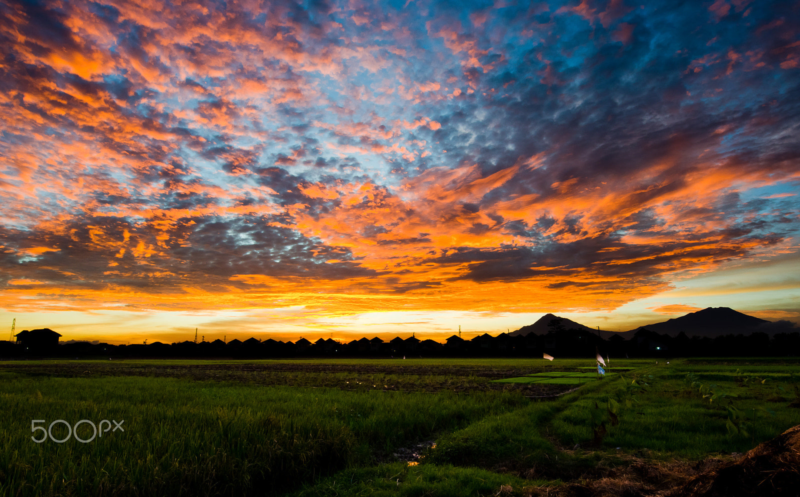 Nikon AF-S Nikkor 14-24mm F2.8G ED sample photo. Sunset photography