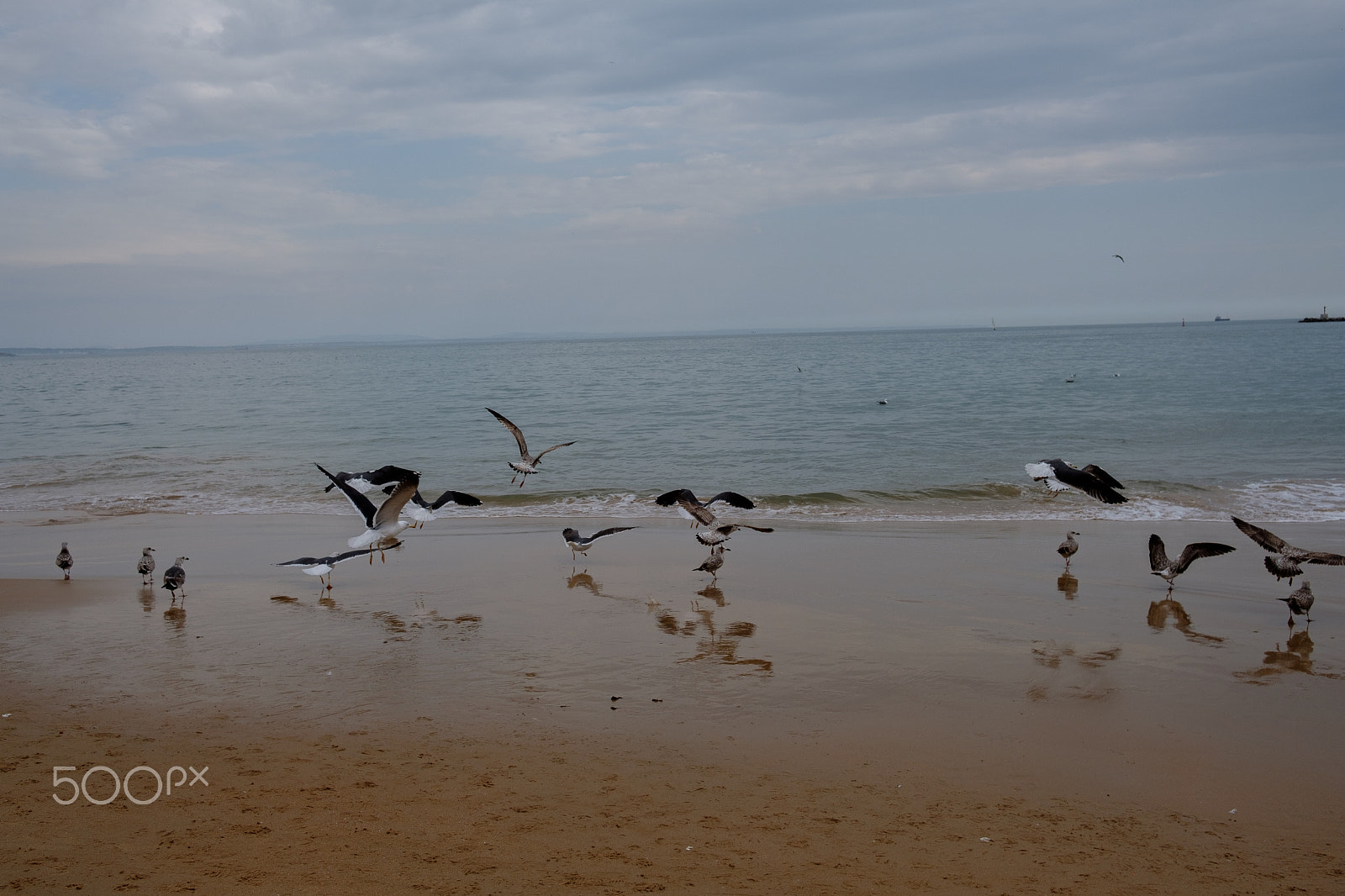 Fujifilm X-T2 + Fujifilm XF 23mm F2 R WR sample photo. Dscf photography