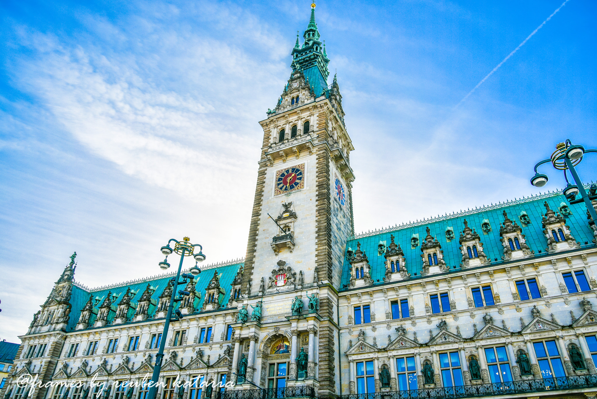 Nikon D810 sample photo. Town hall hamburg photography