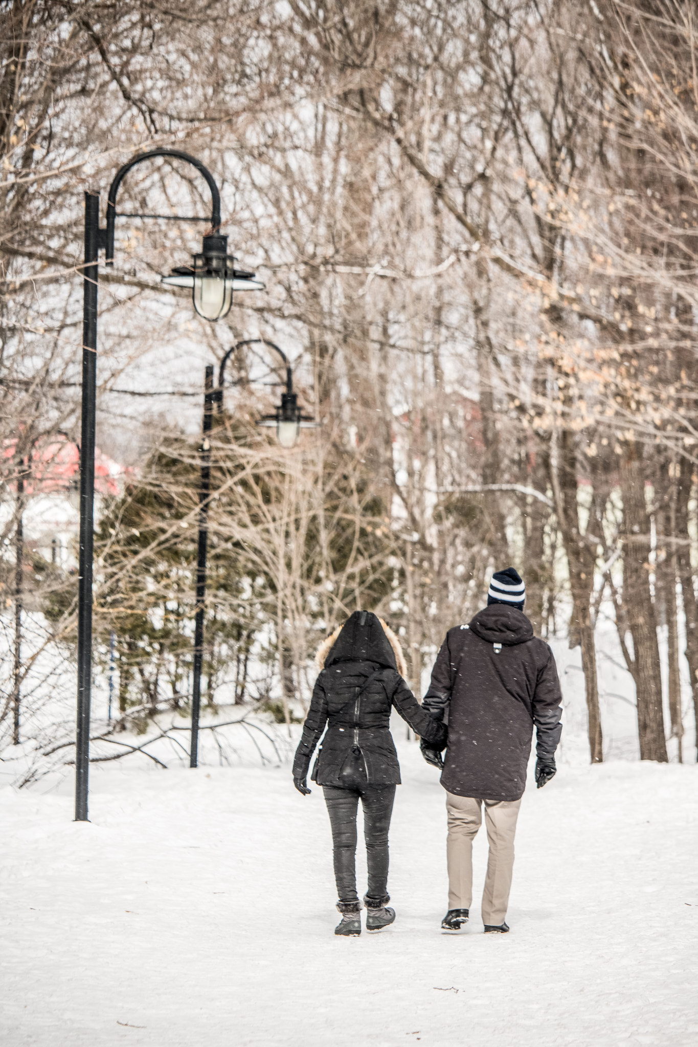 Canon EOS 760D (EOS Rebel T6s / EOS 8000D) + Canon EF-S 55-250mm F4-5.6 IS STM sample photo. Couple winter walk photography